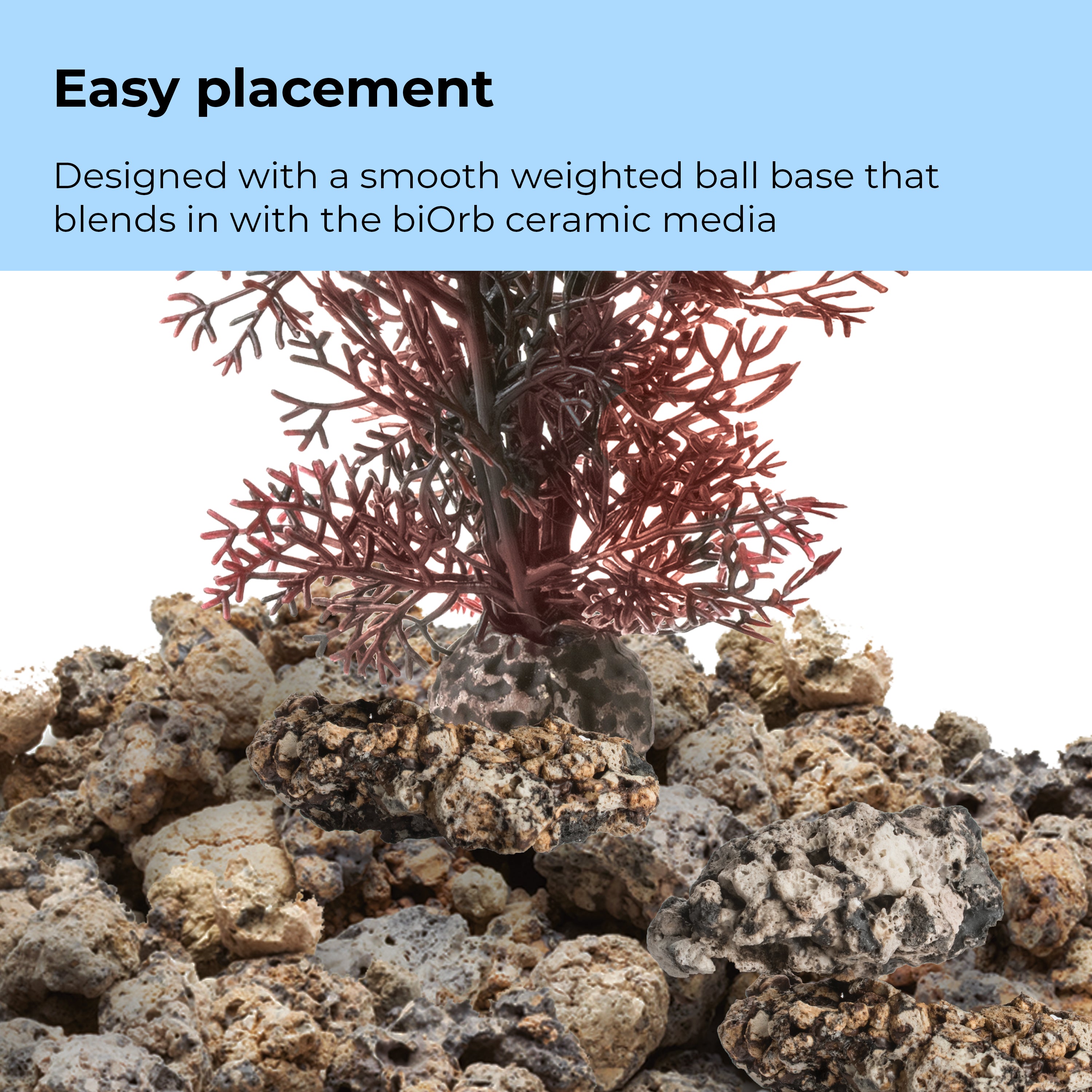 Large Sea Fan - Easy placement