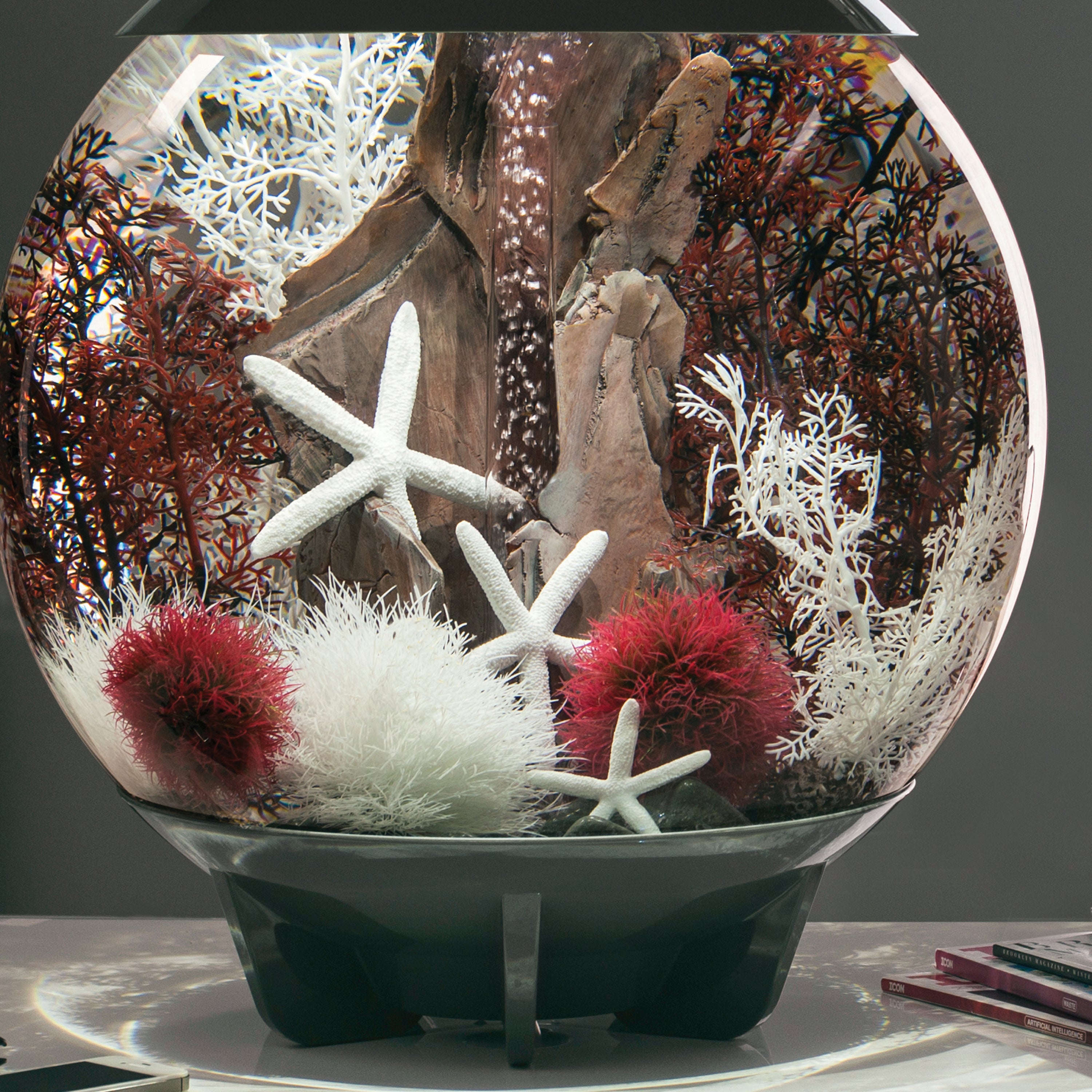Large Sea Fan - In Use