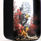 Large Sea Fan In Use