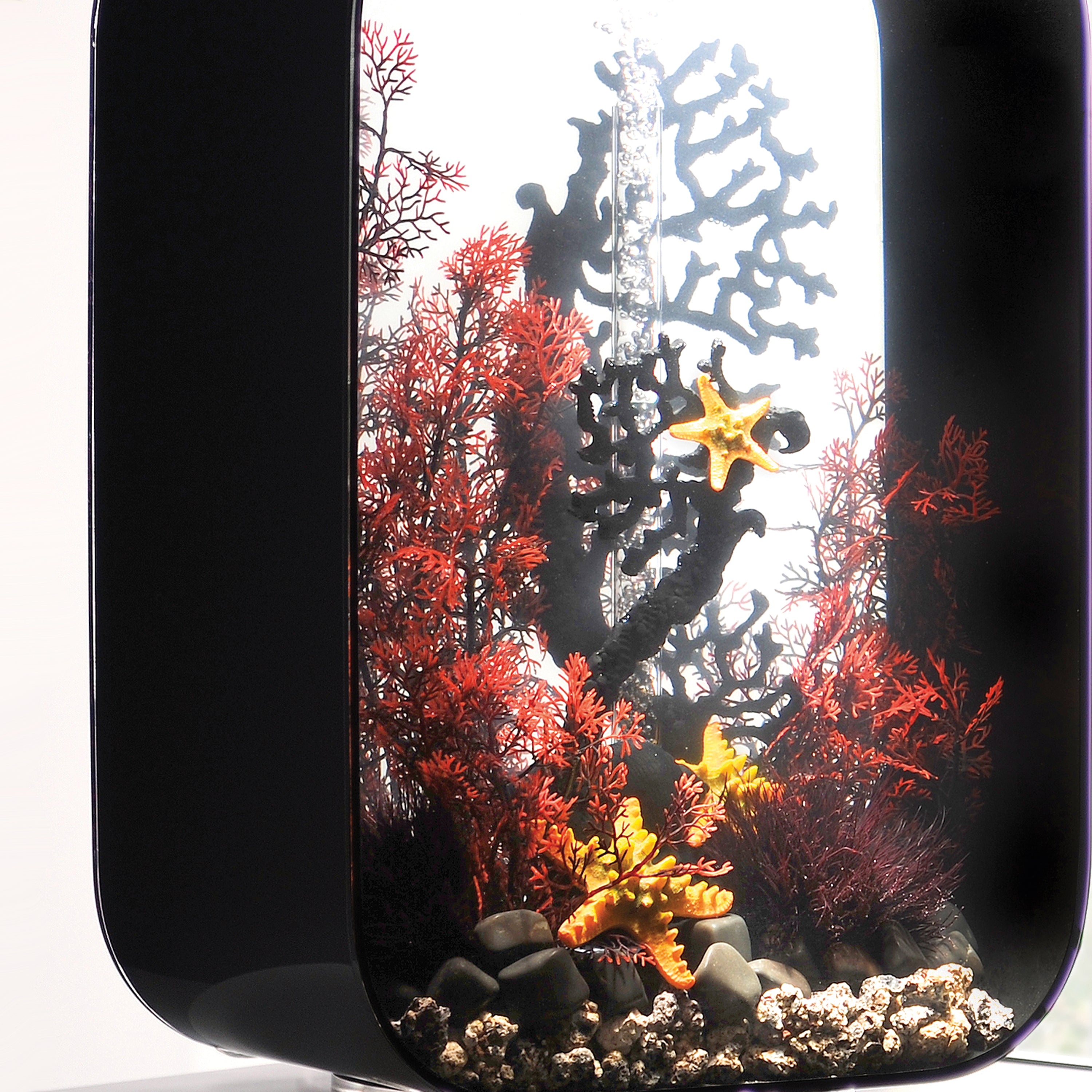 Large Sea Fan In Use