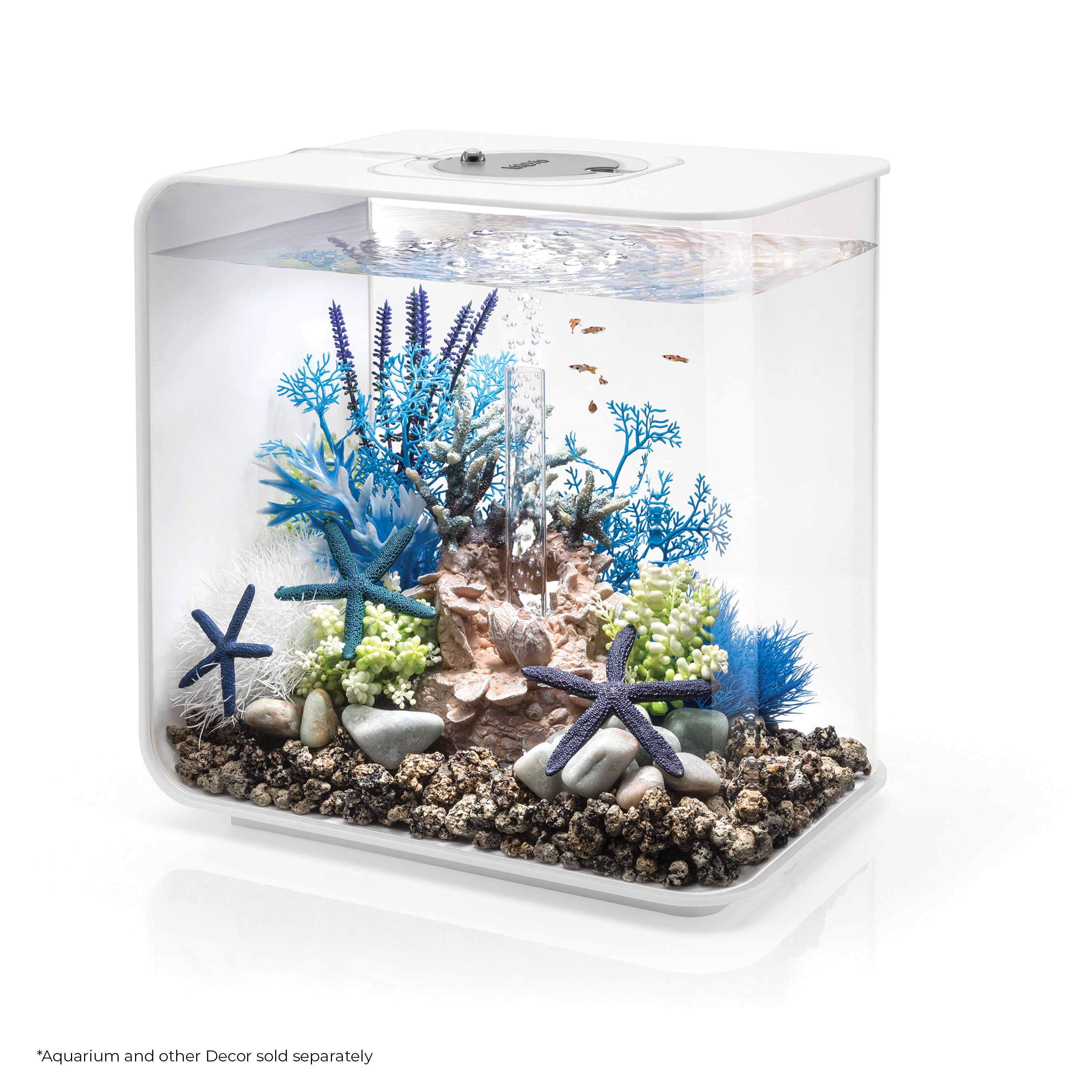 Sea Lily In Use