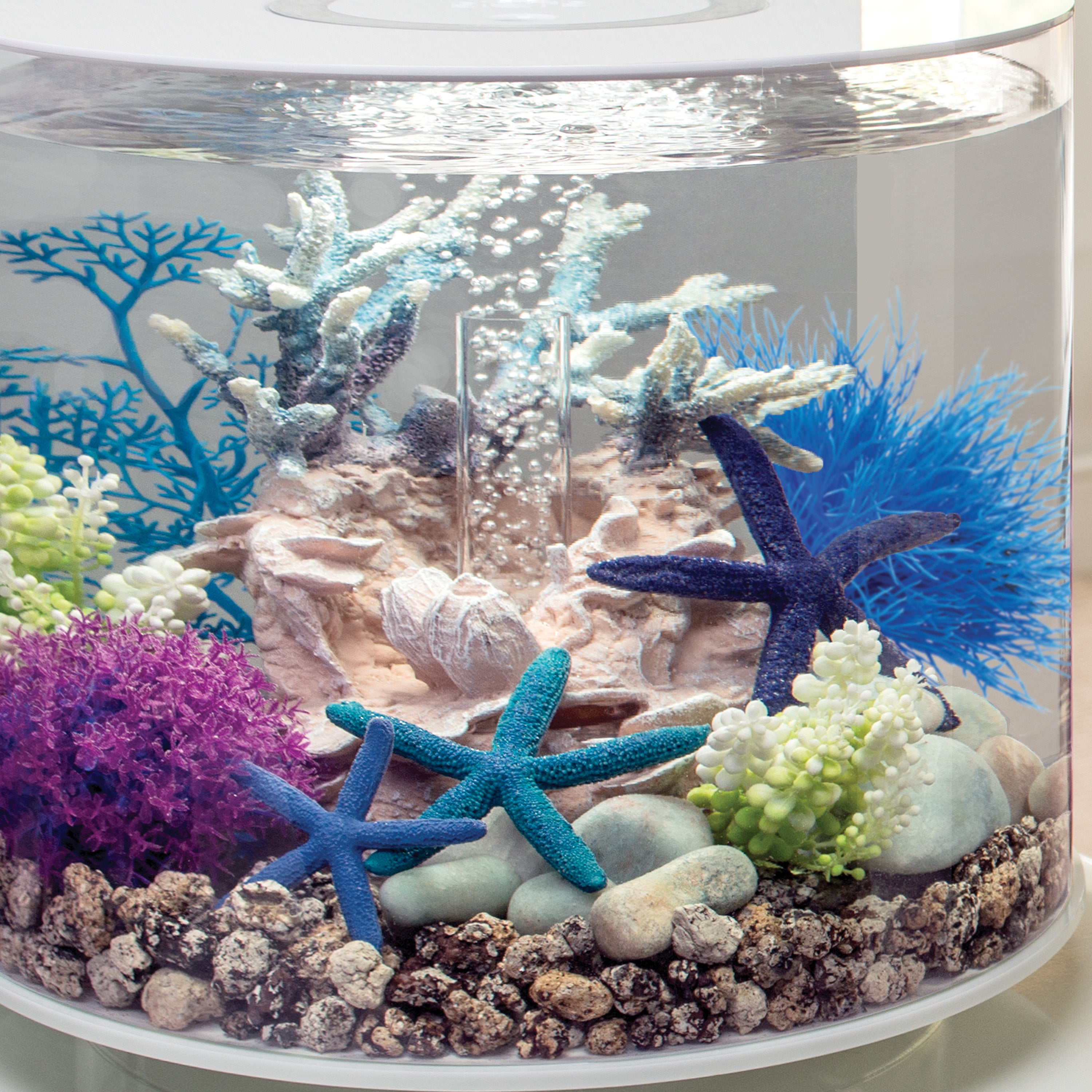 Sea Lily In Use