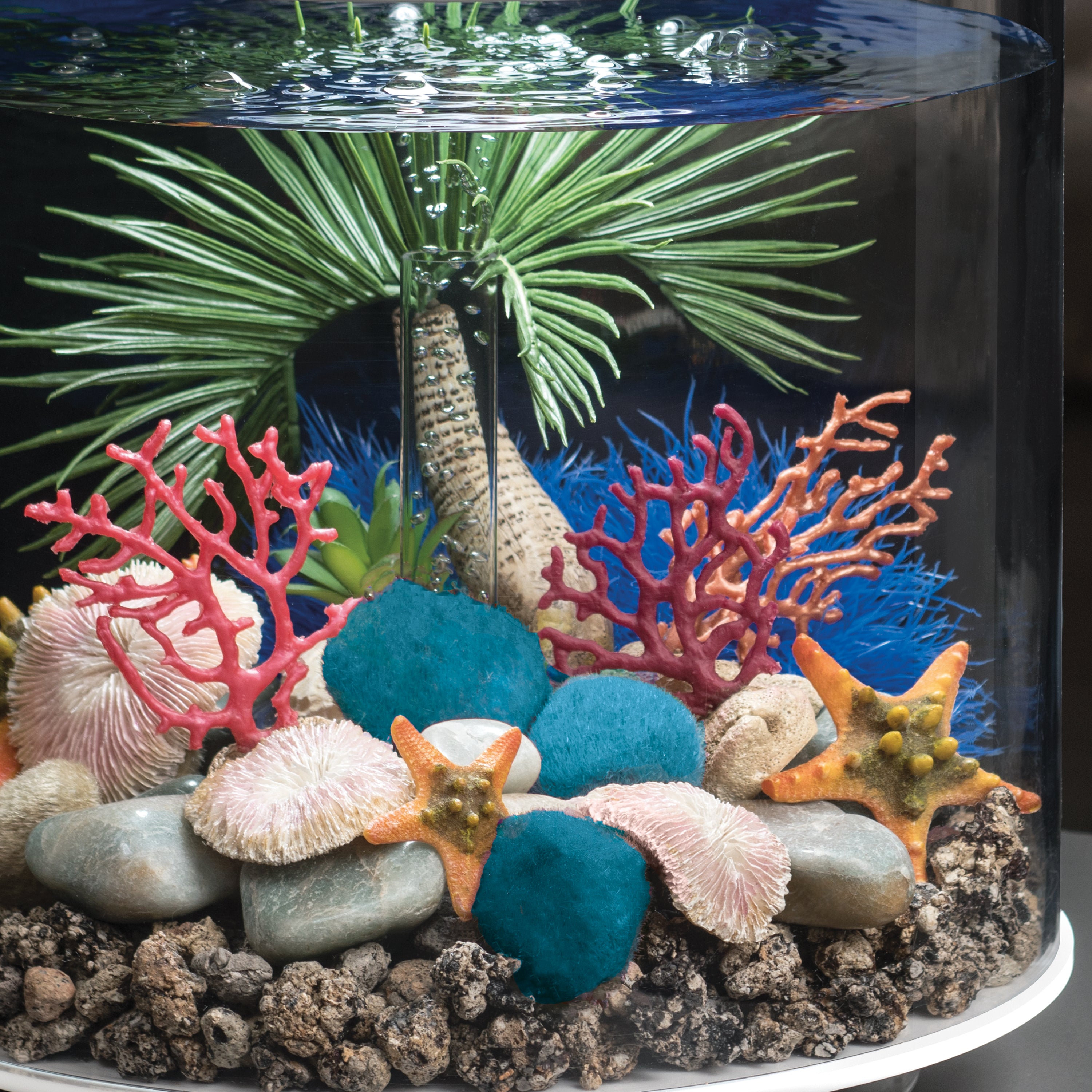 Sea Lily In Use