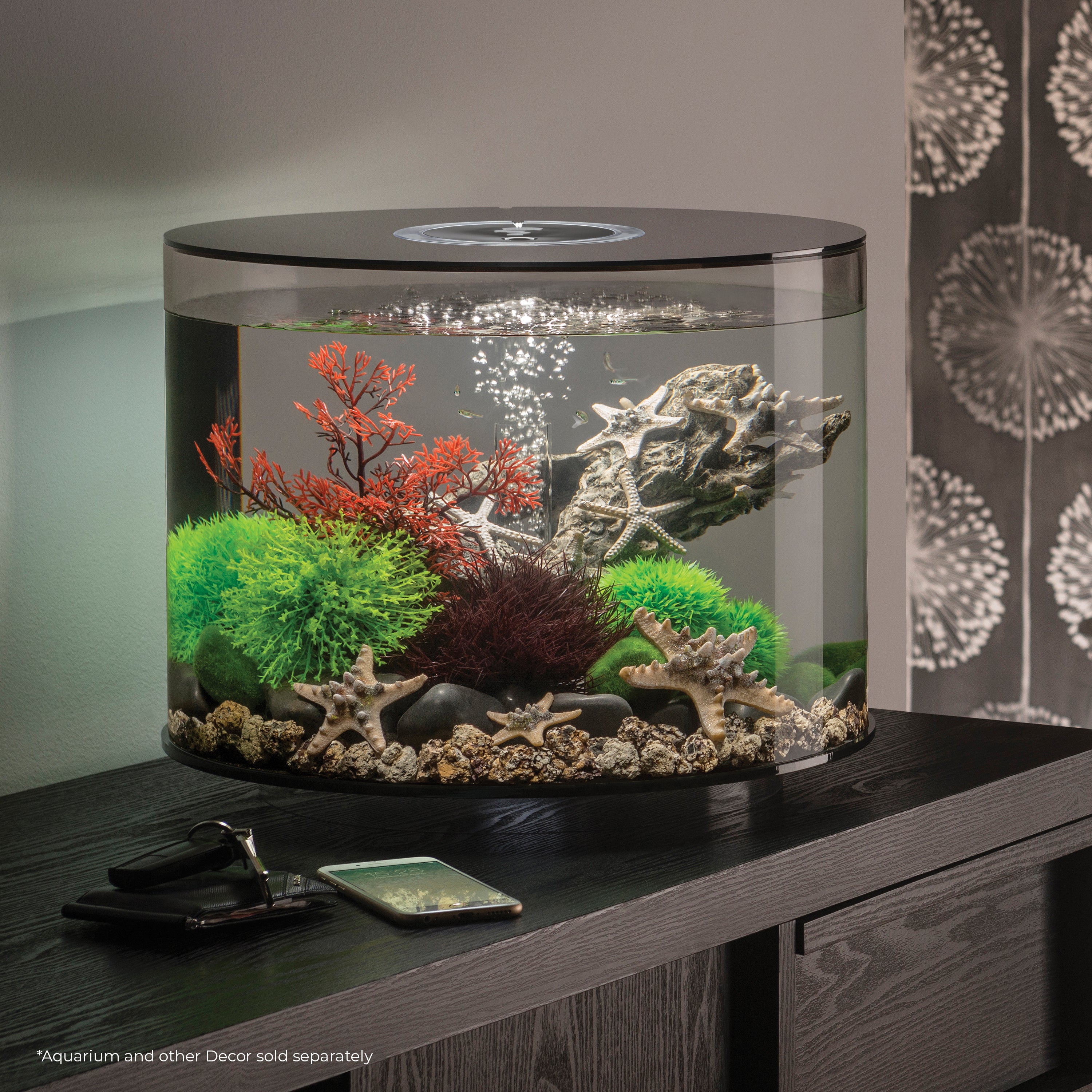 Sea Lily In Use