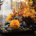 Sea Lily In Use