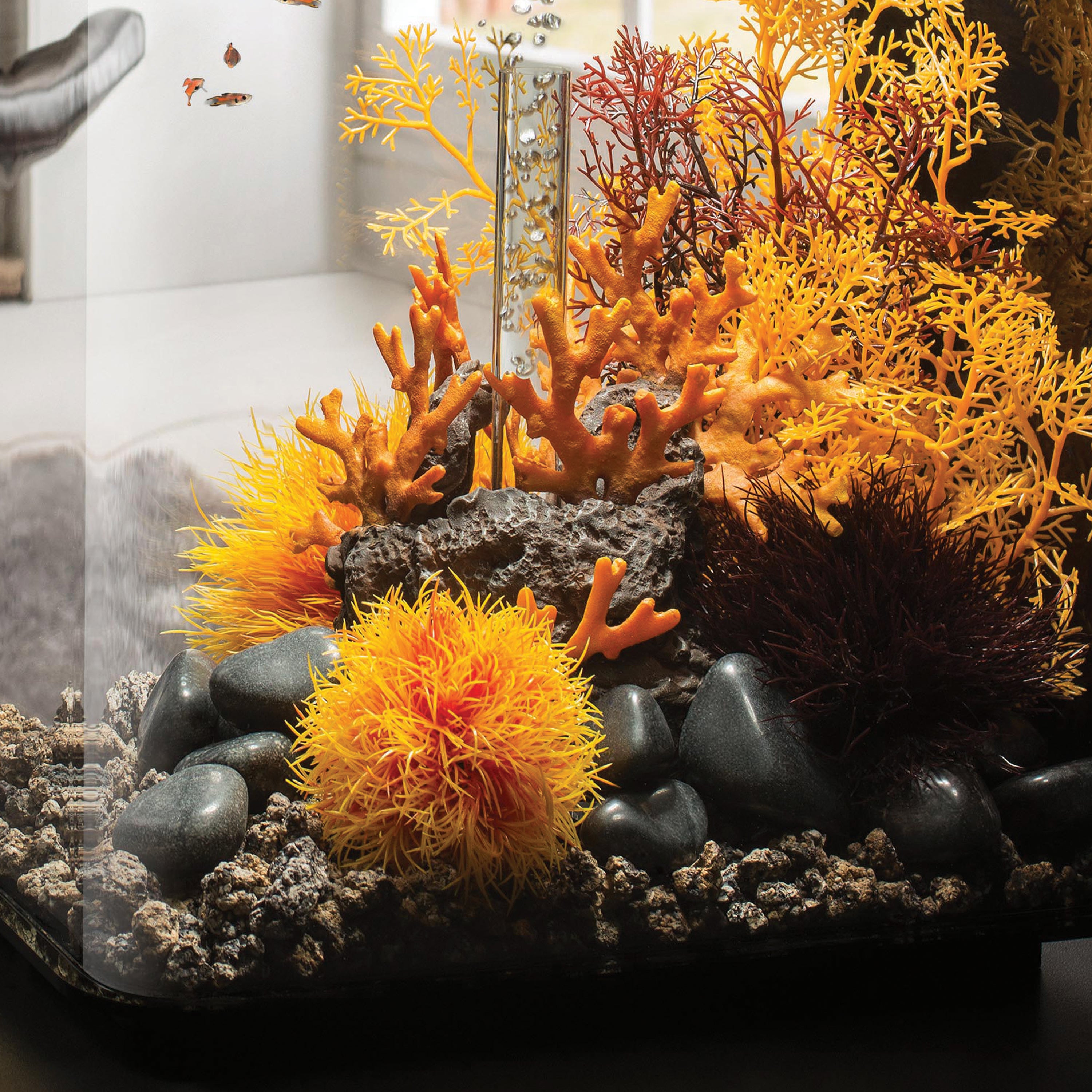 Sea Lily In Use