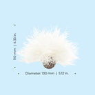 Sea Lily Dimensions
