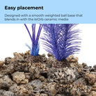 Small Kelp Plant Set - Easy placement