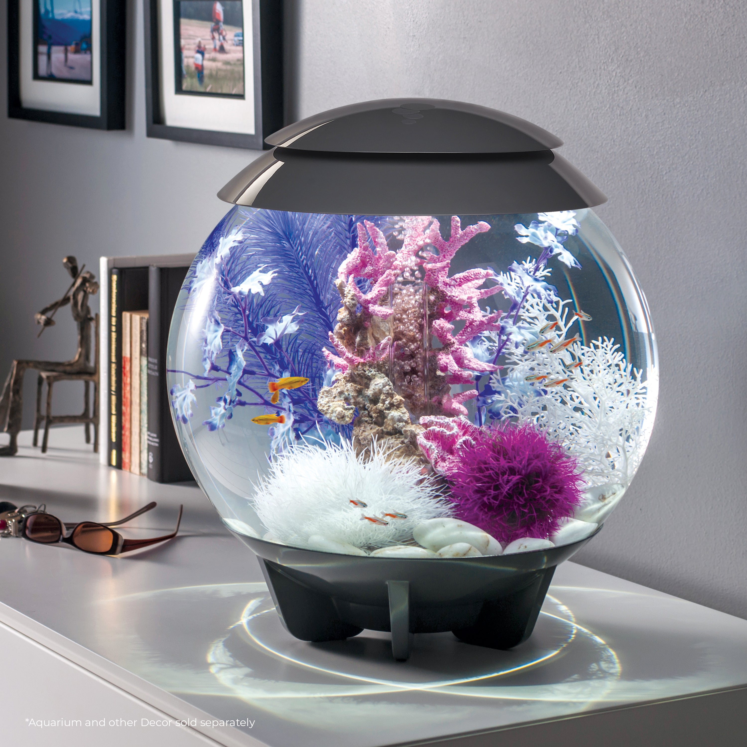 Medium Kelp Plant Set of 2 In Use