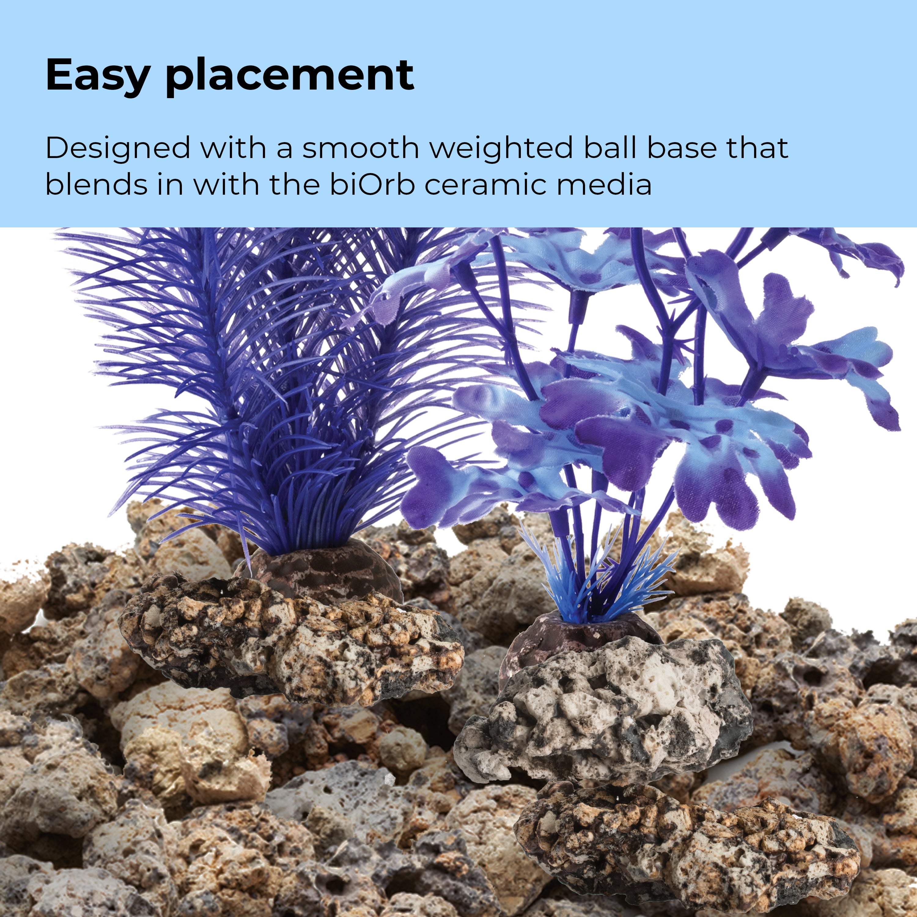 Medium Kelp Plant Set of 2 - Easy placement
