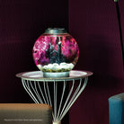 Small Kelp Plant Set In Use