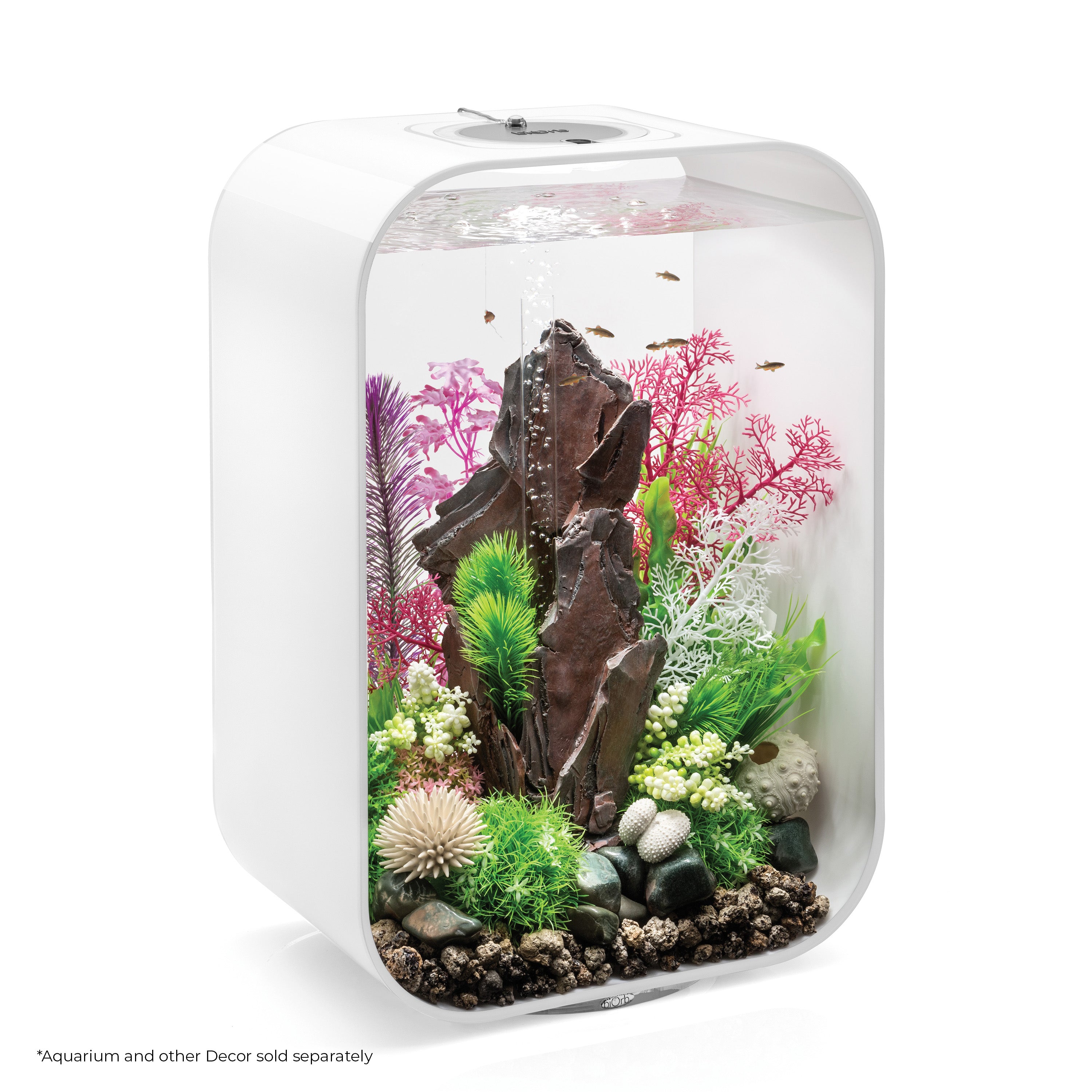 Medium Kelp Plant Set of 2 In Use
