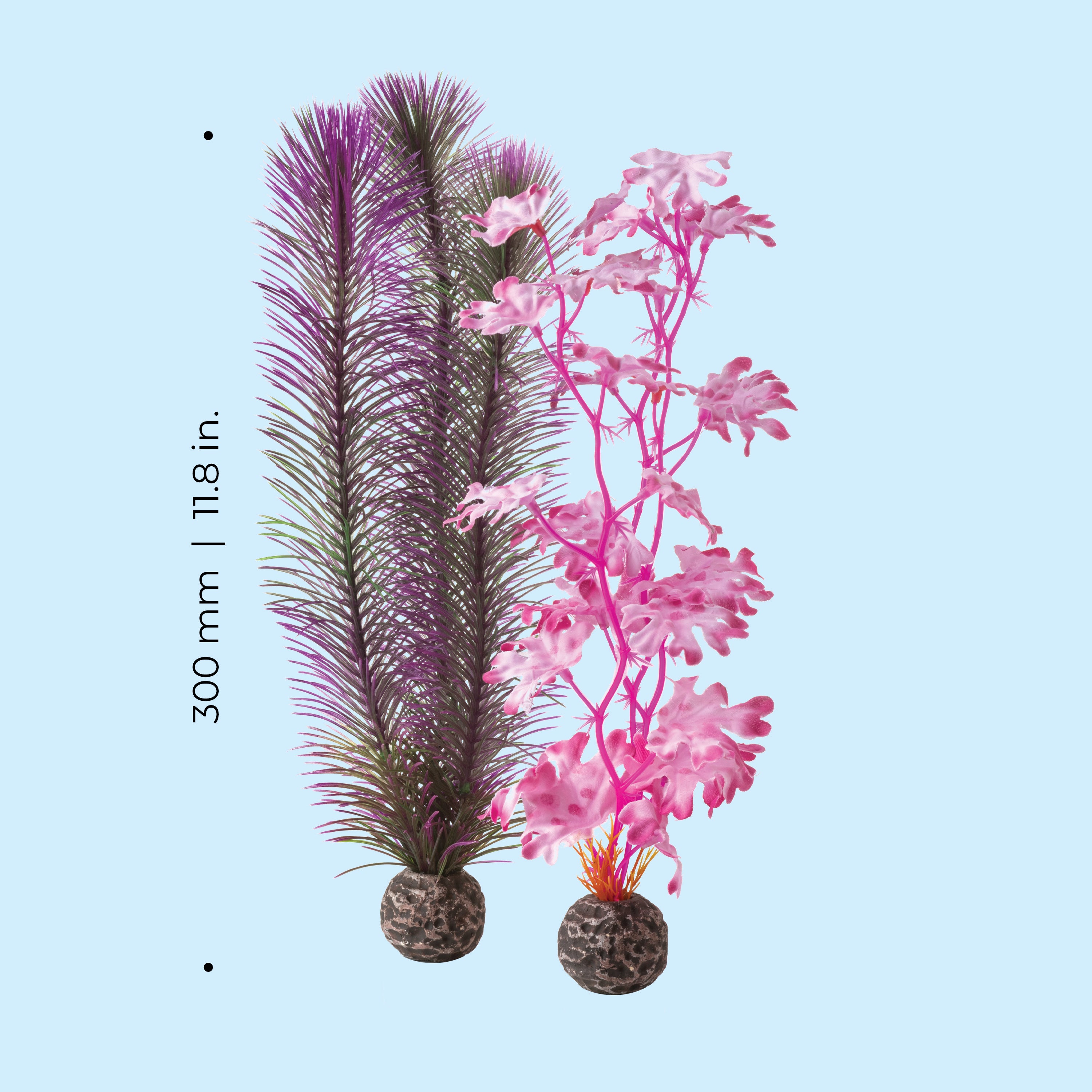 Medium Kelp Plant Set of 2 - Dimensions