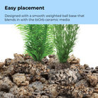 Small Green Feather Fern Plant Set of 2 - Easy placement