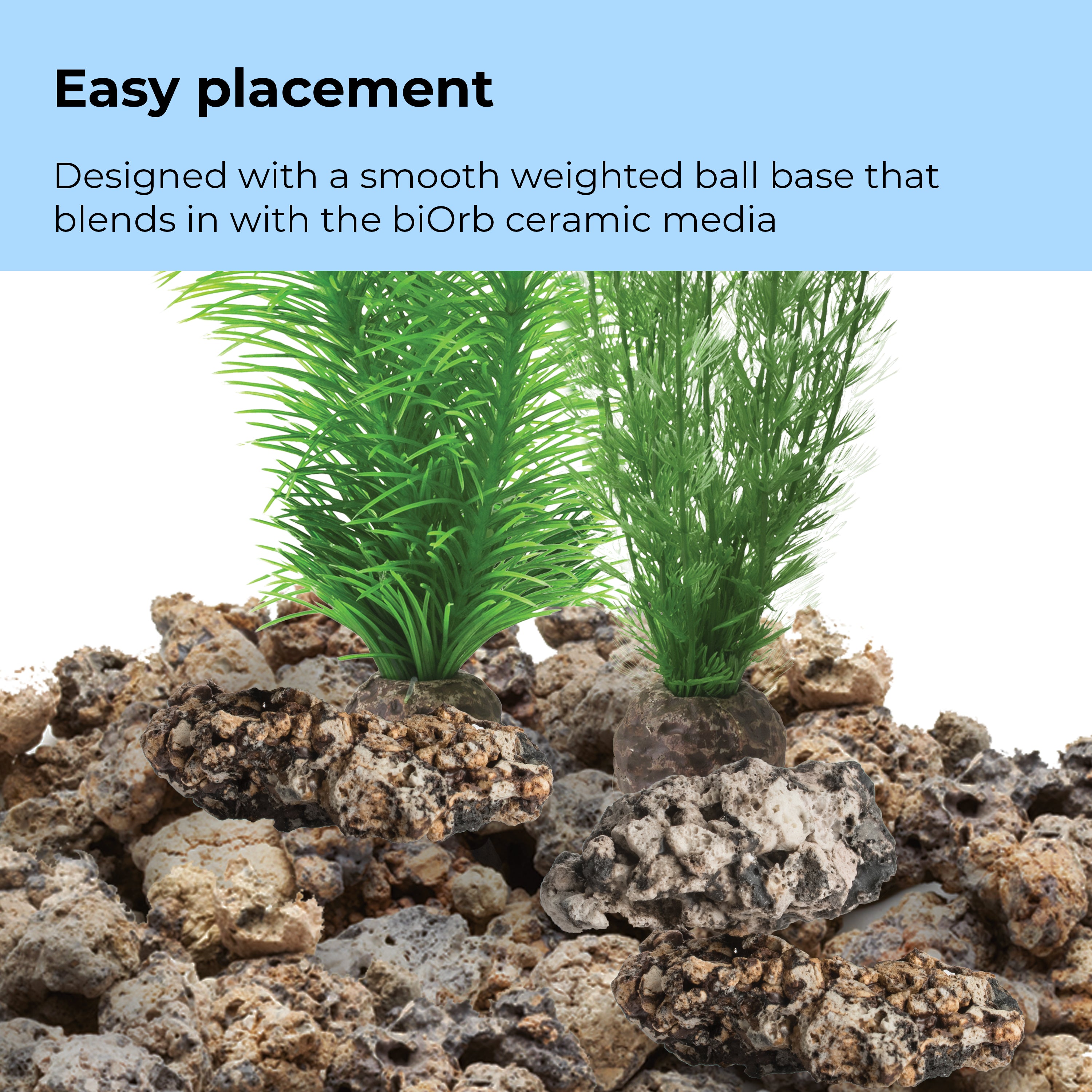 Small Green Feather Fern Plant Set of 2 - Easy placement