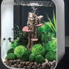 Small Green Feather Fern Plant Set of 2 In Use