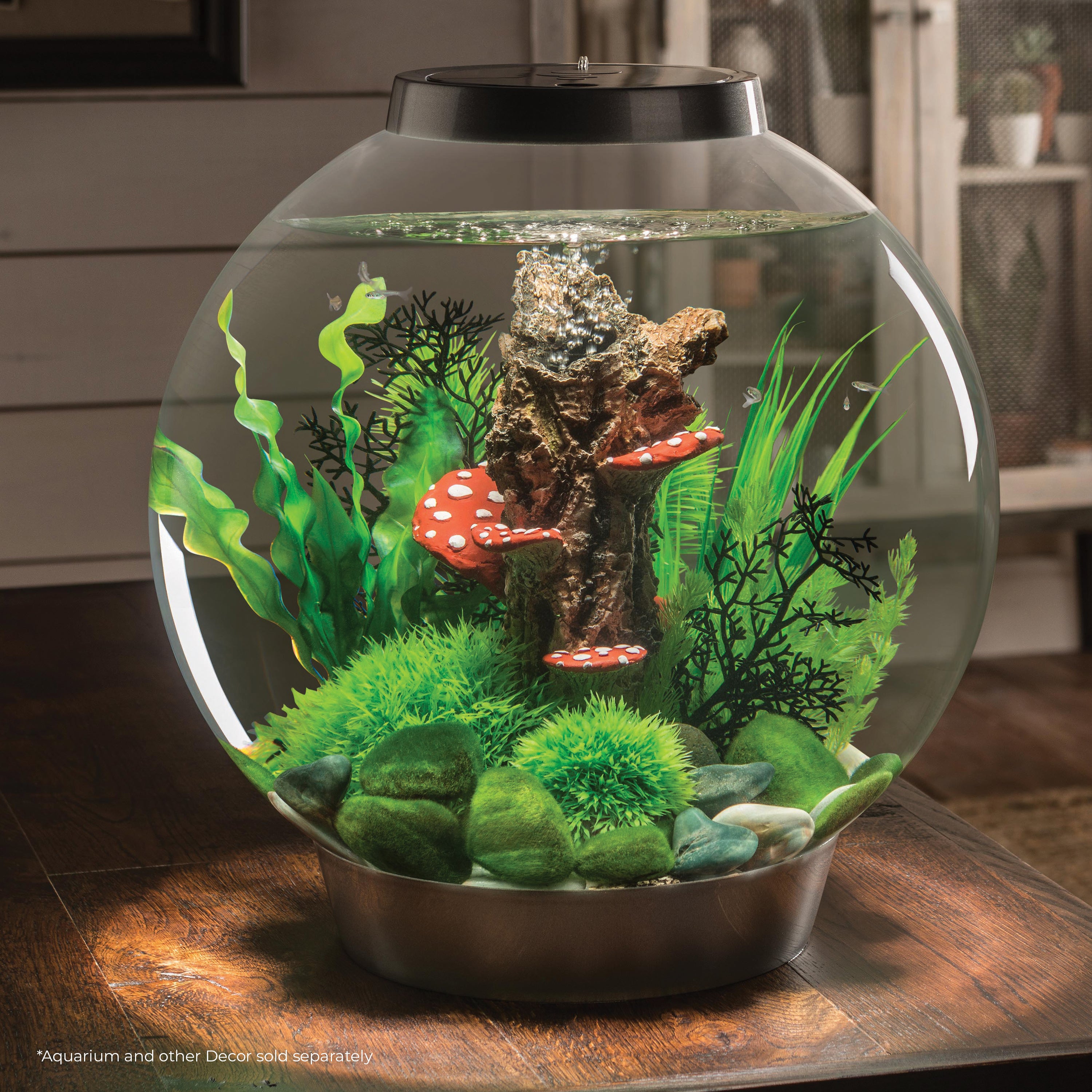 Moss Pebbles Set In Use