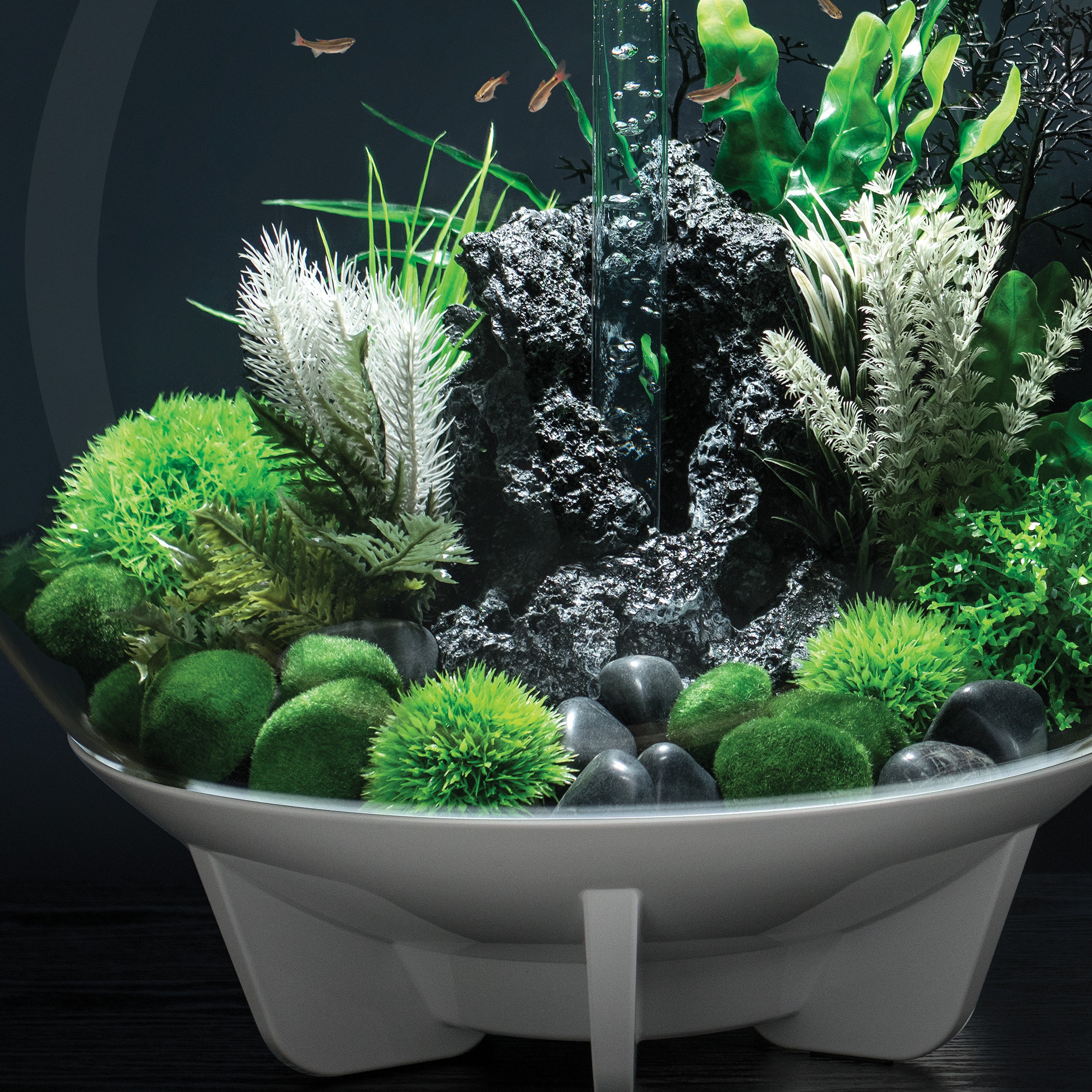 Moss Pebbles Set In Use