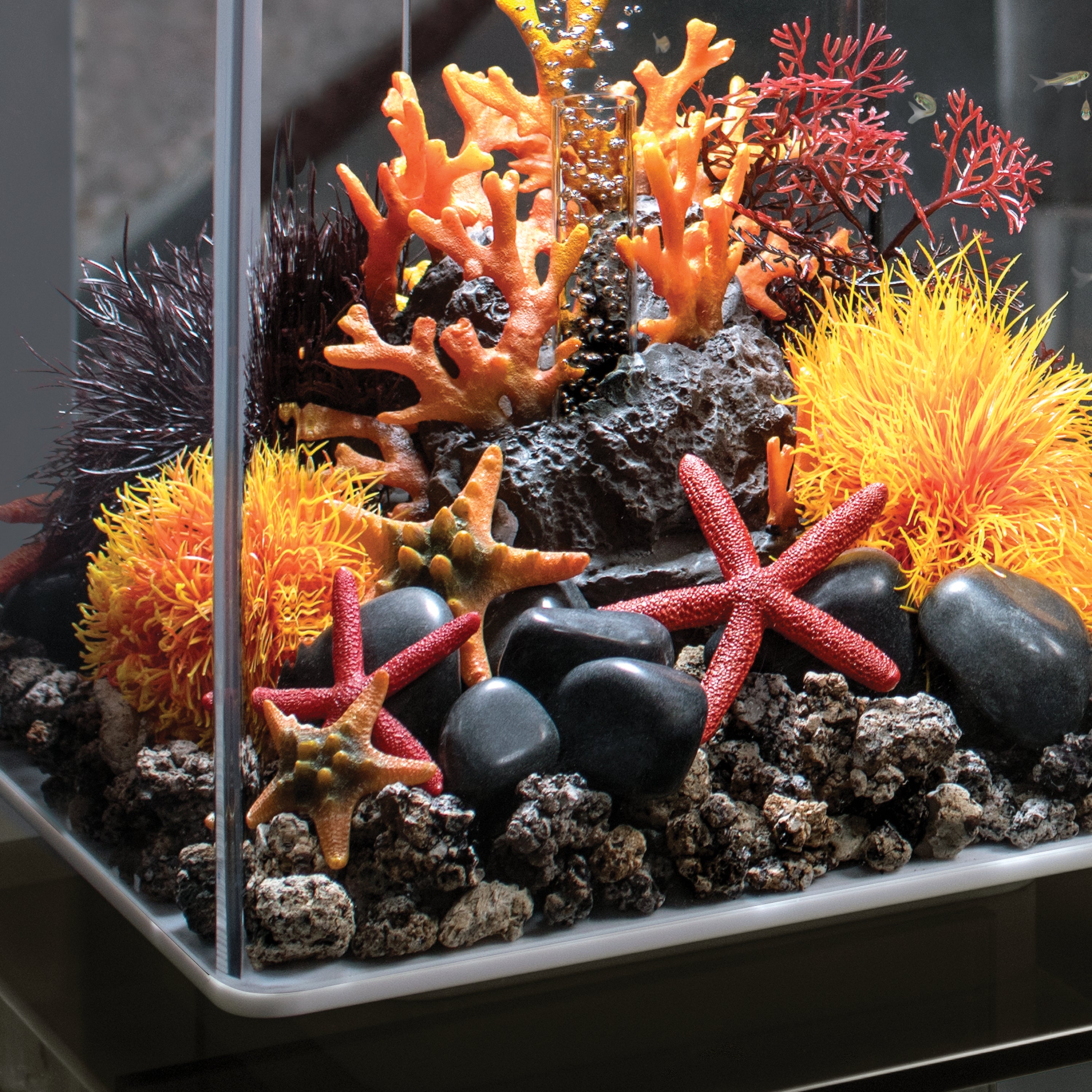 Sea Lily In Use