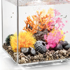Sea Lily In Use