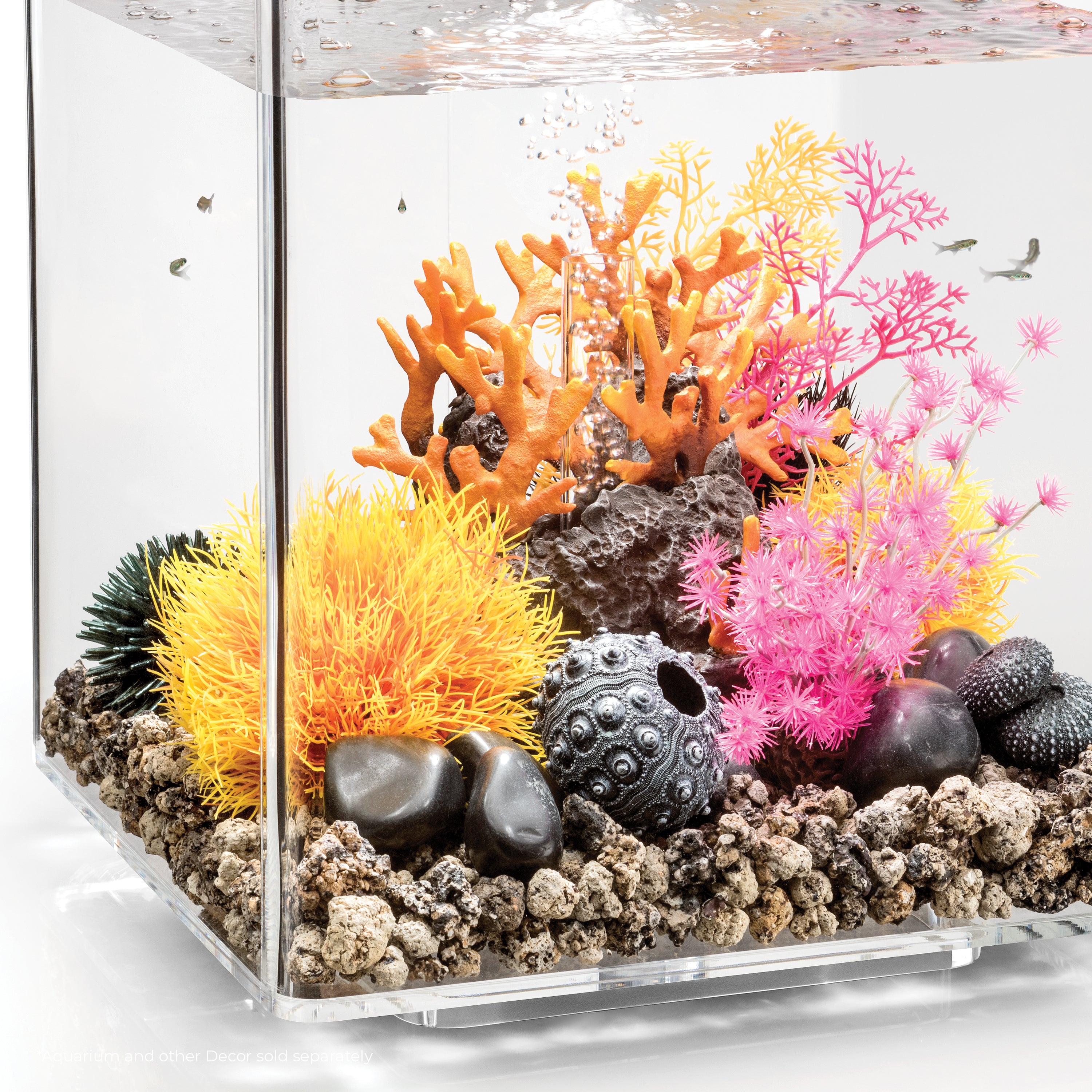 Sea Lily In Use