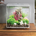 Flower Ball with Daisies In Use