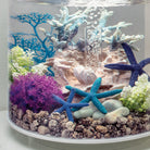 Small Sea Fan In Use