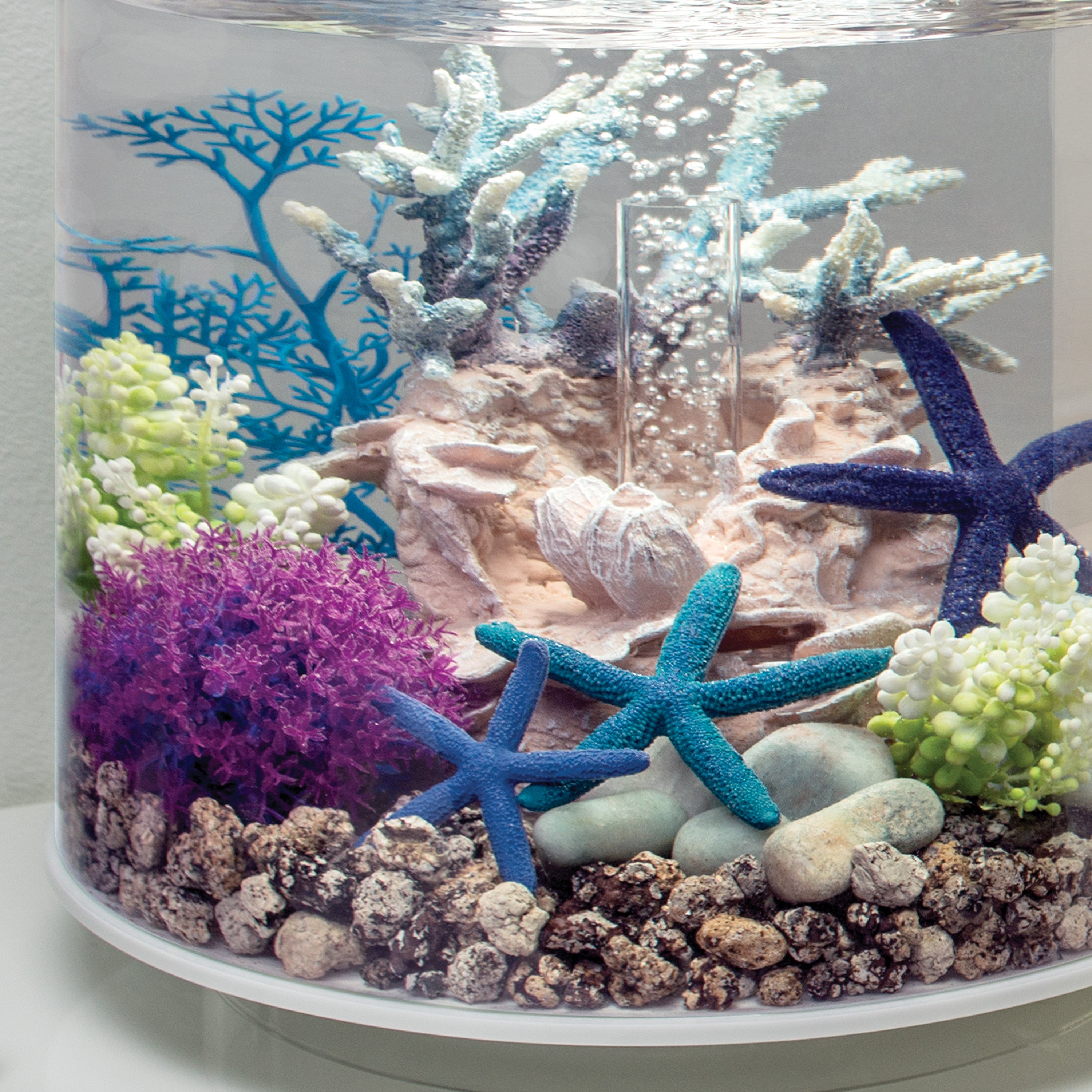 Small Sea Fan In Use
