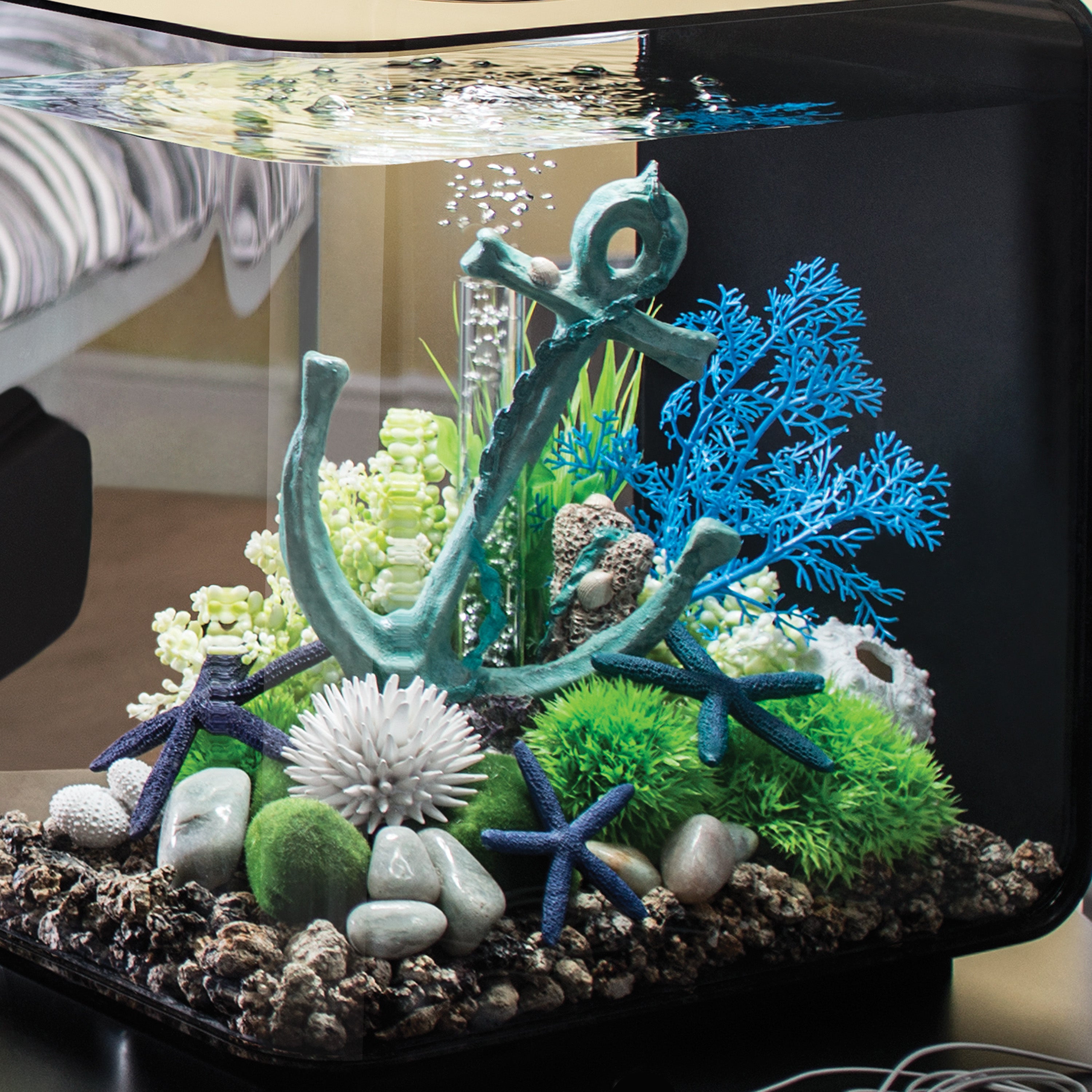 Small Sea Fan In Use