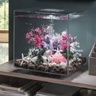 Small Sea Fan In use
