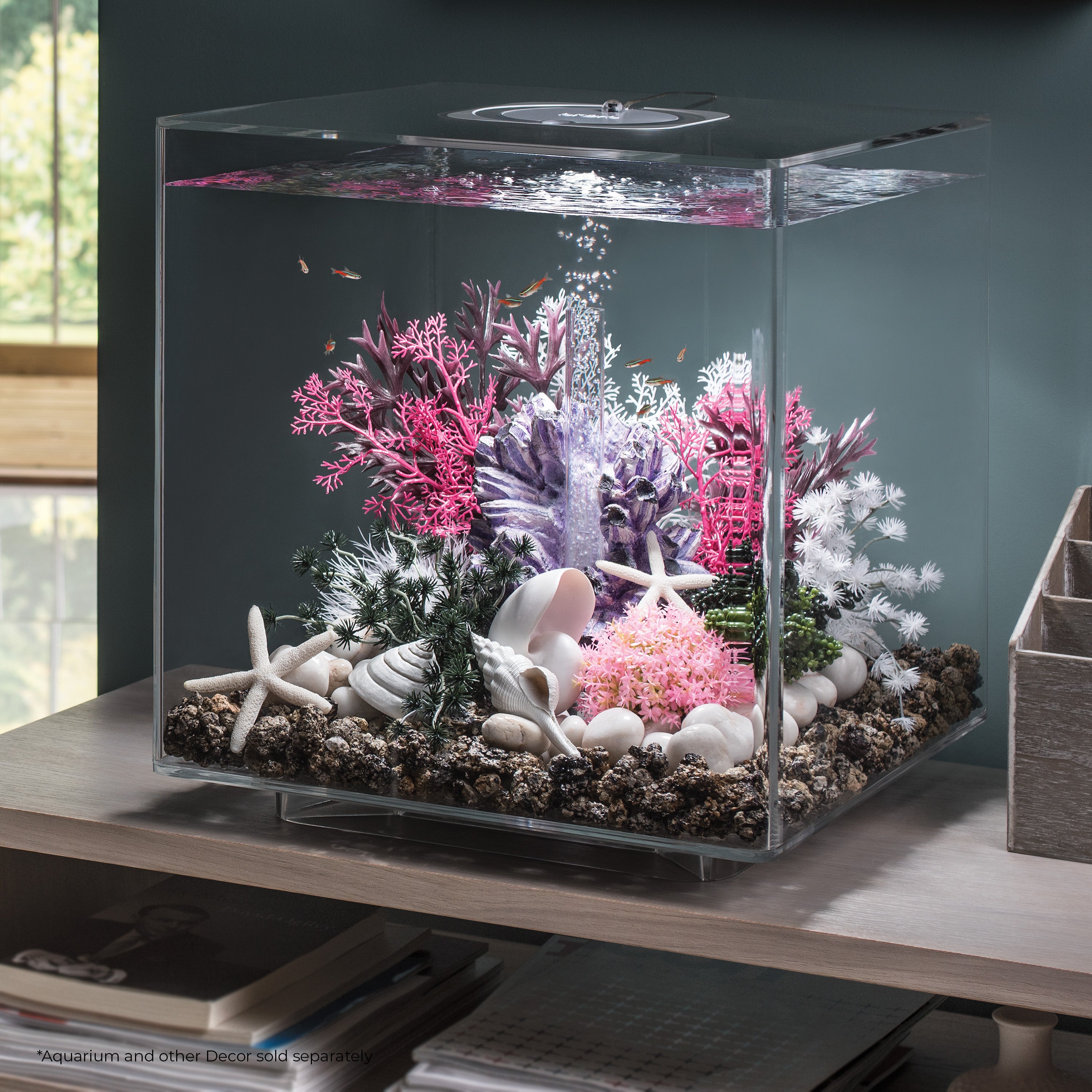 Small Sea Fan In use