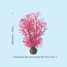 Small Sea Fan Dimensions