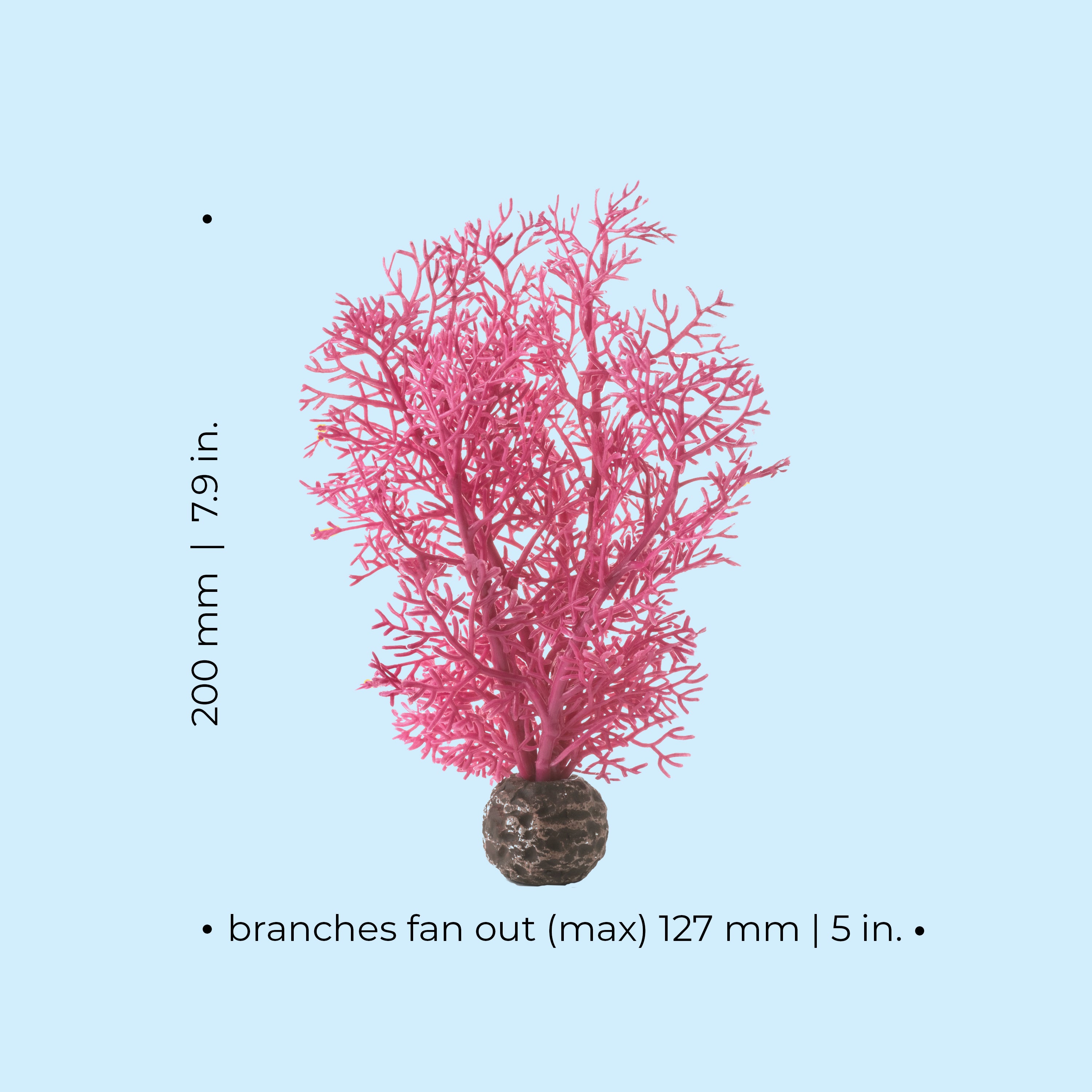 Small Sea Fan Dimensions
