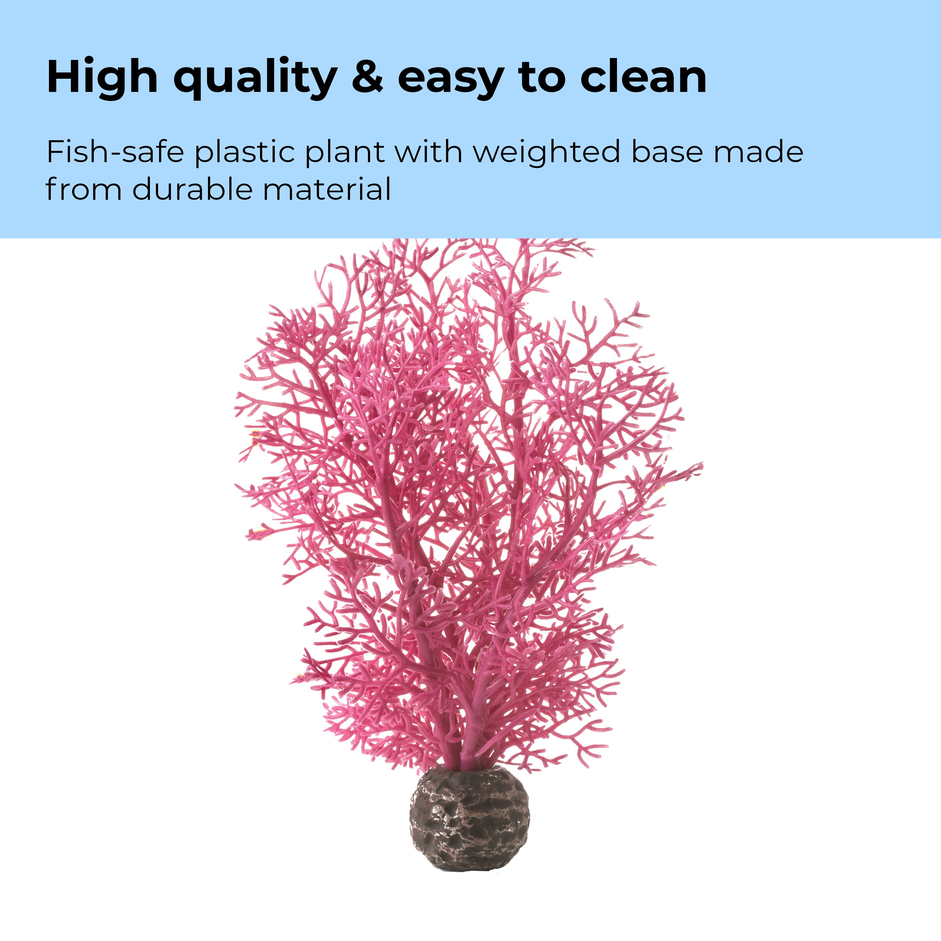 Small Sea Fan - High quality & easy to clean
