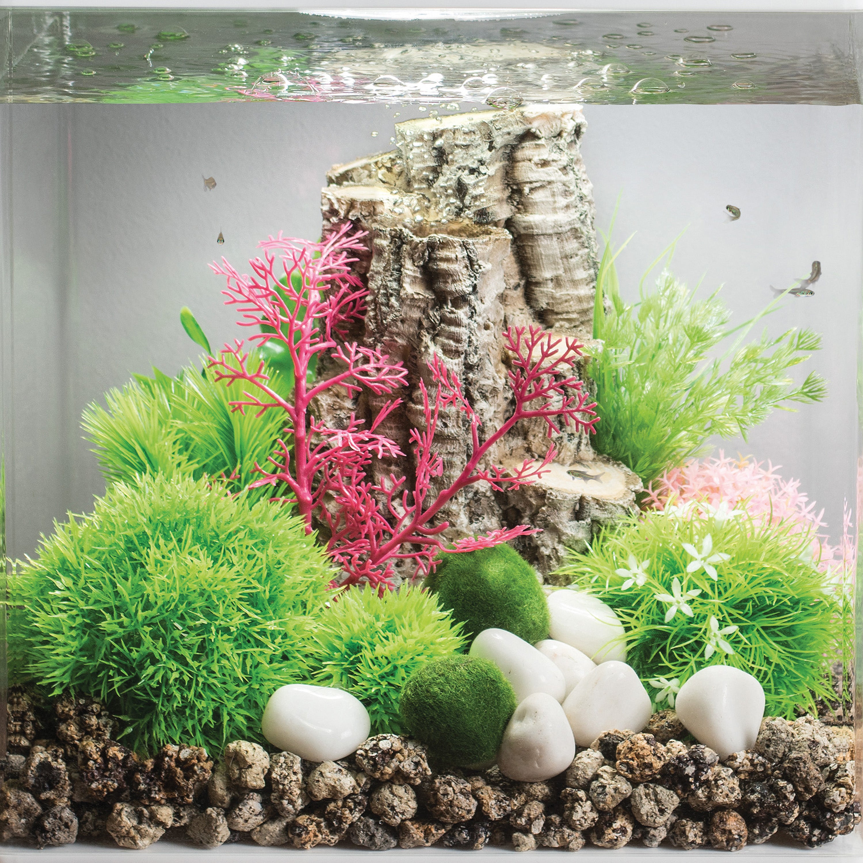 Small Sea Fan - In use