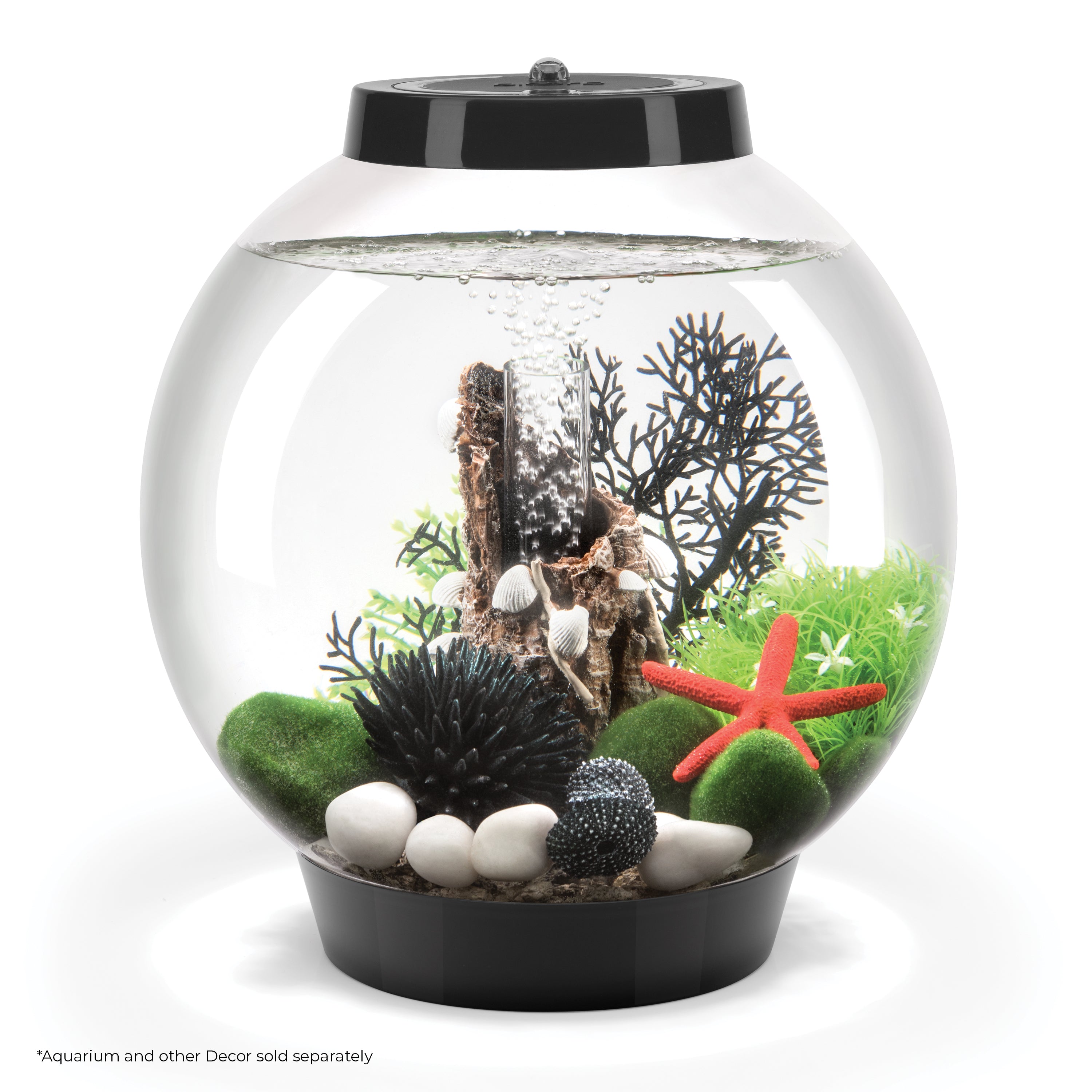 Small Sea Fan In Use