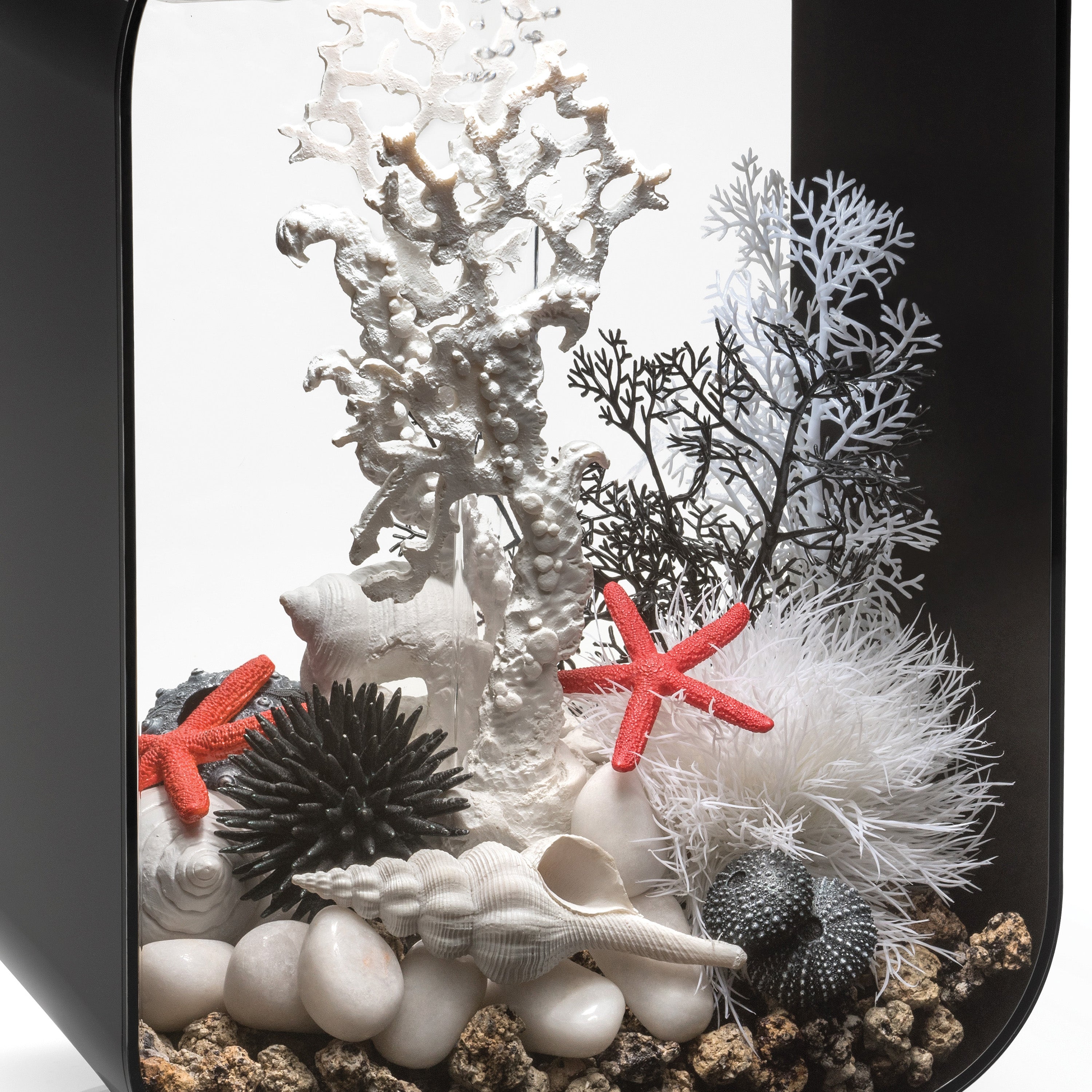 Small Sea Fan In Use