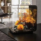 Small Sea Fan In Use