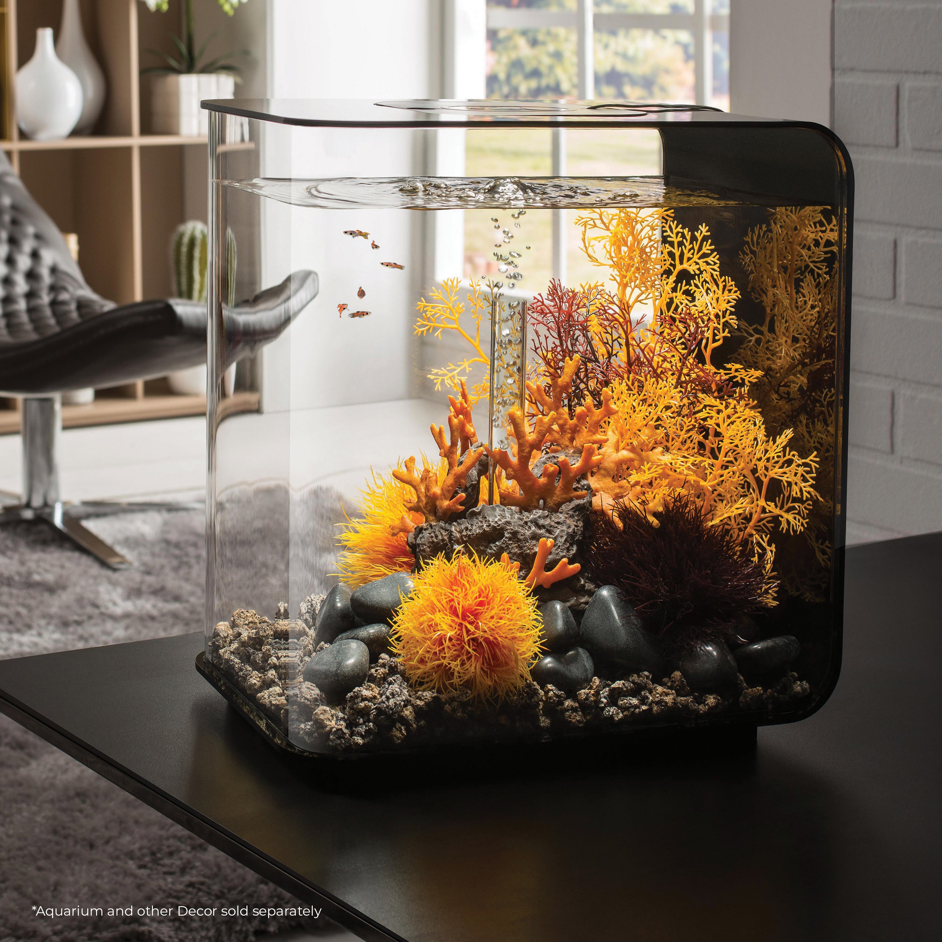 Small Sea Fan In Use