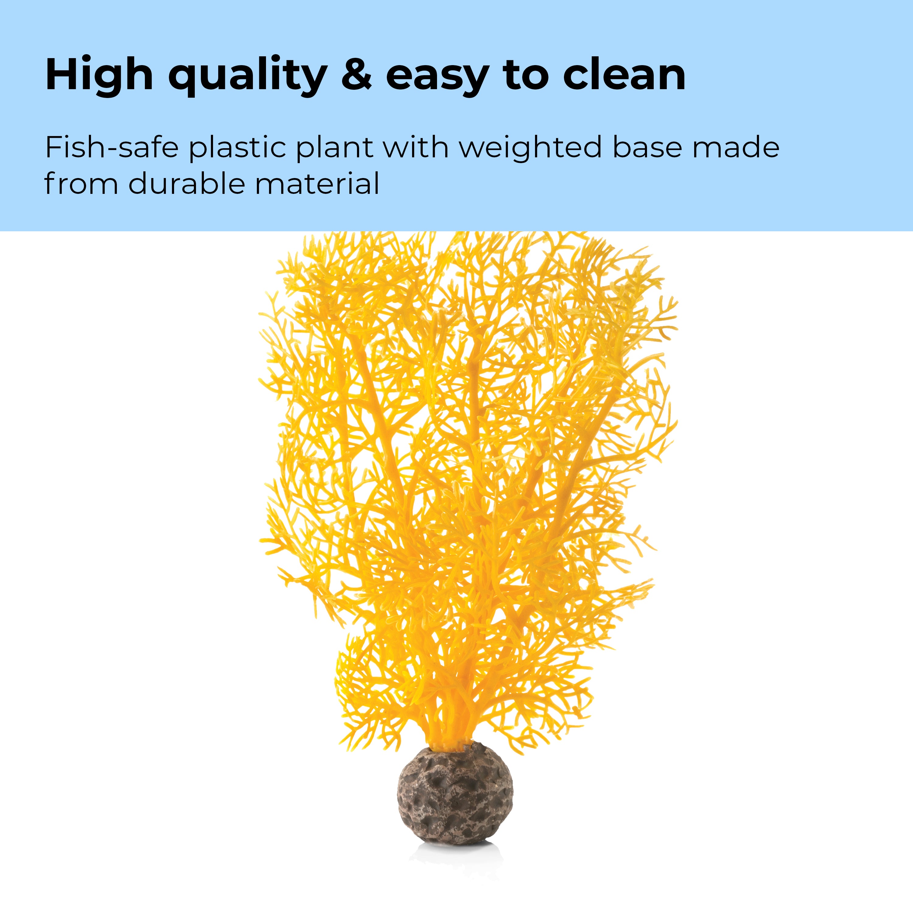 Small Sea Fan - High quality & easy to clean