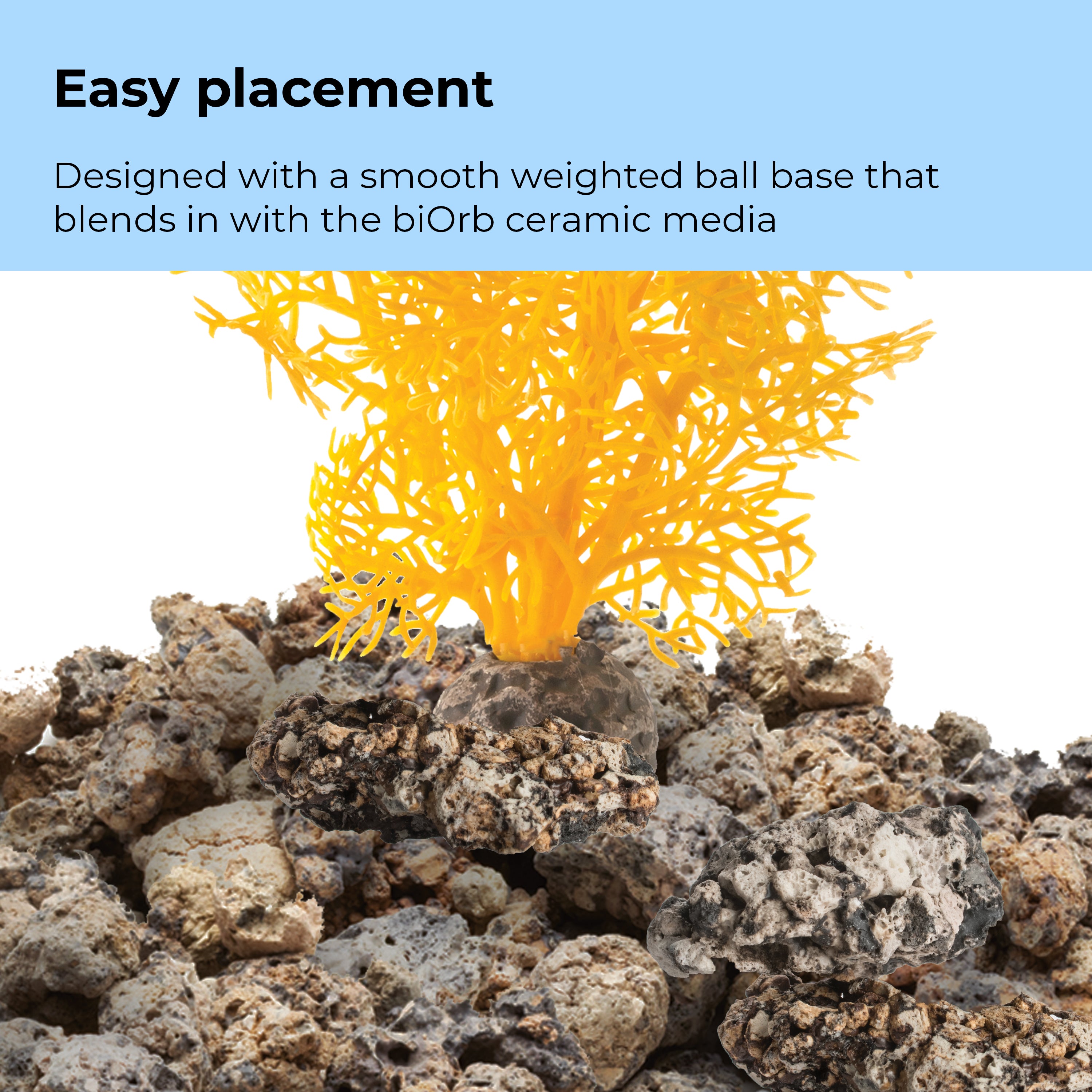 Small Sea Fan - Easy placement