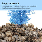 Medium Sea Fan - Easy placement