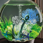 Medium Sea Fan In Use
