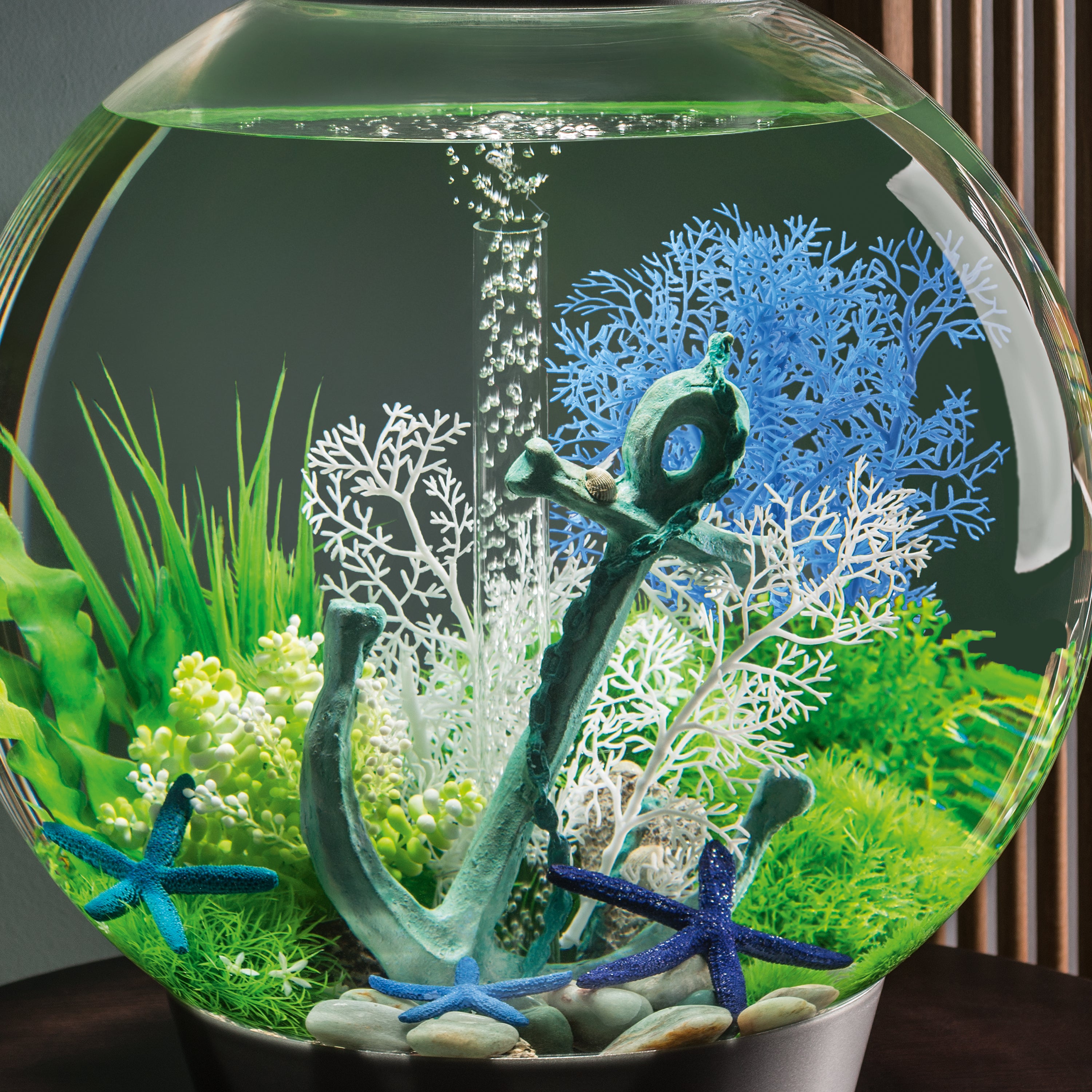 Medium Sea Fan In Use