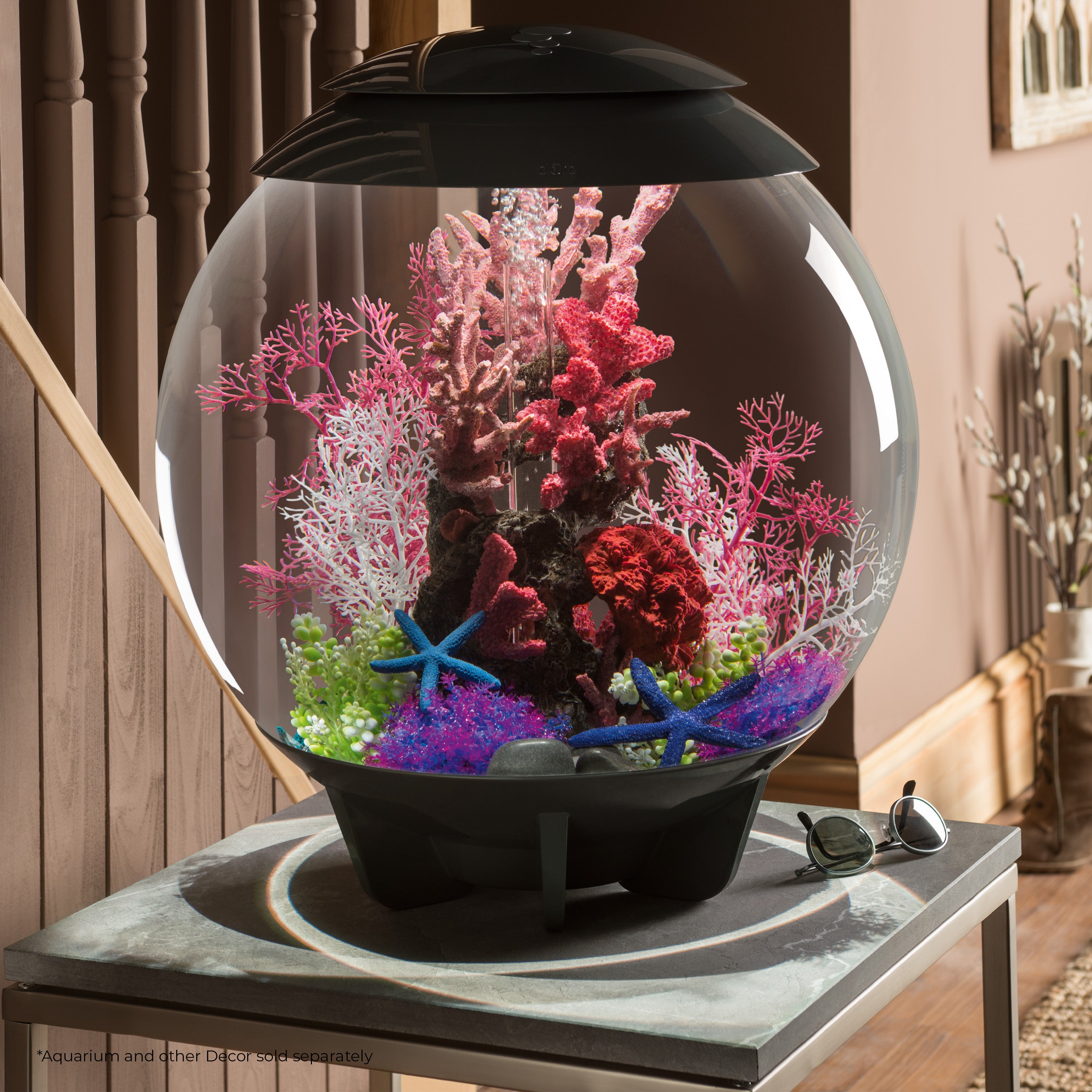 Medium Sea Fan In Use