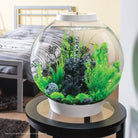 Medium Sea Fan In Use