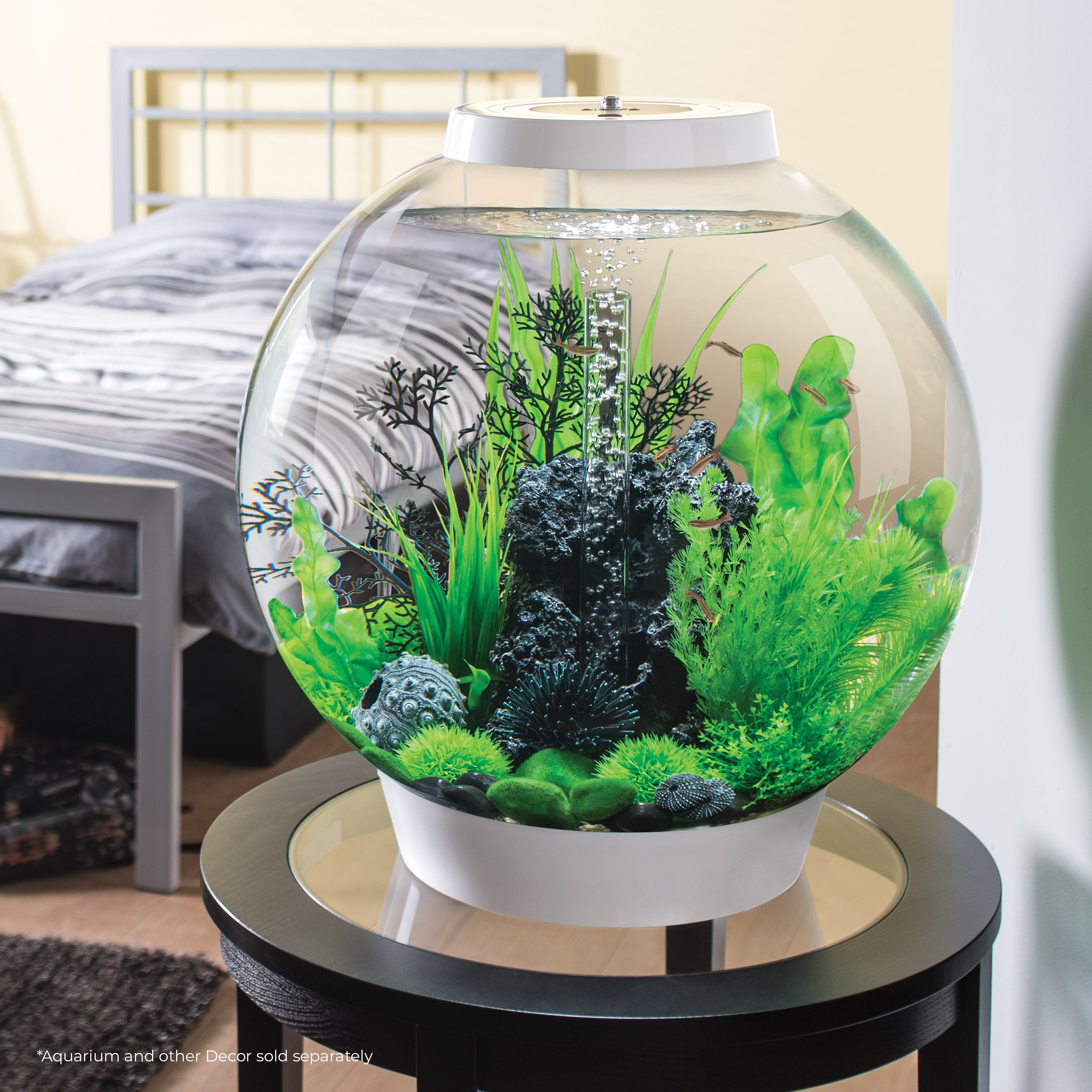 Medium Sea Fan In Use