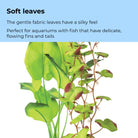 Medium Green Silk Plant Set of 2 - Soft leaves