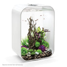 Medium Green & Purple Silk Plant Set of 2 In Use