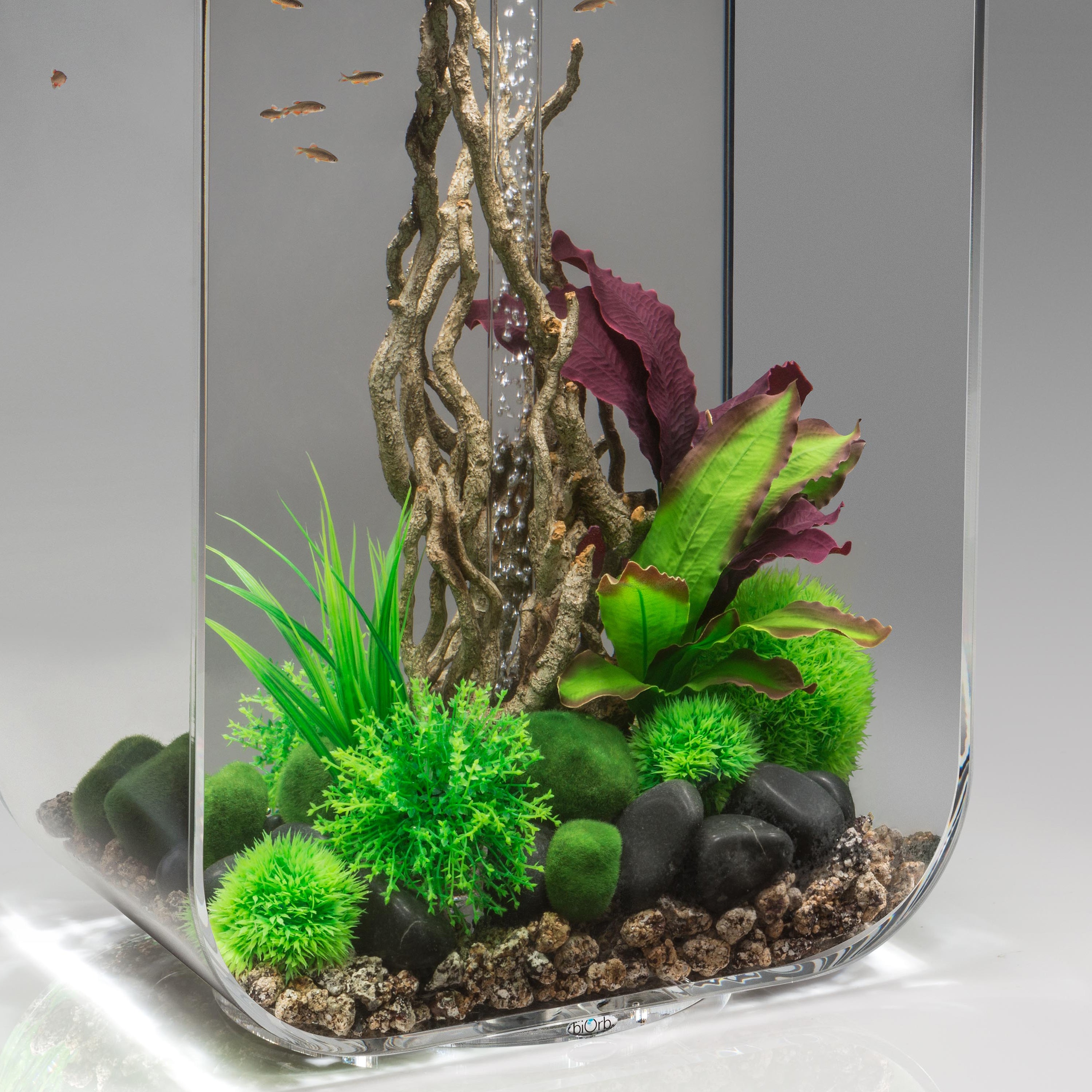 Medium Green & Purple Silk Plant Set of 2 In Use